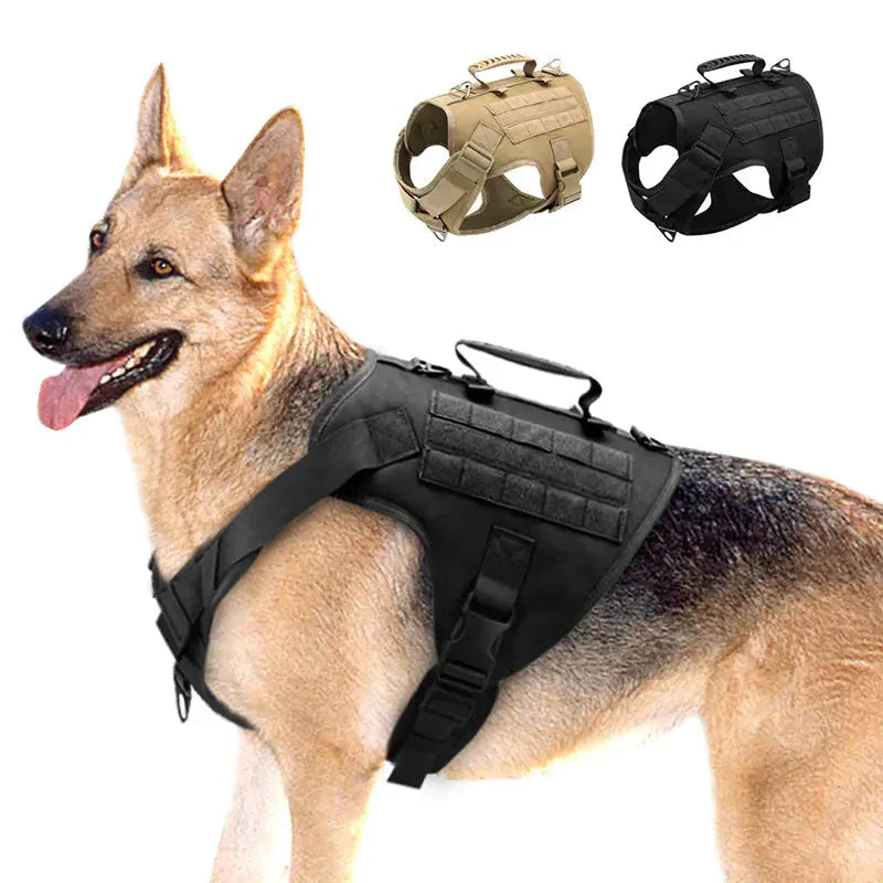 Harnesses