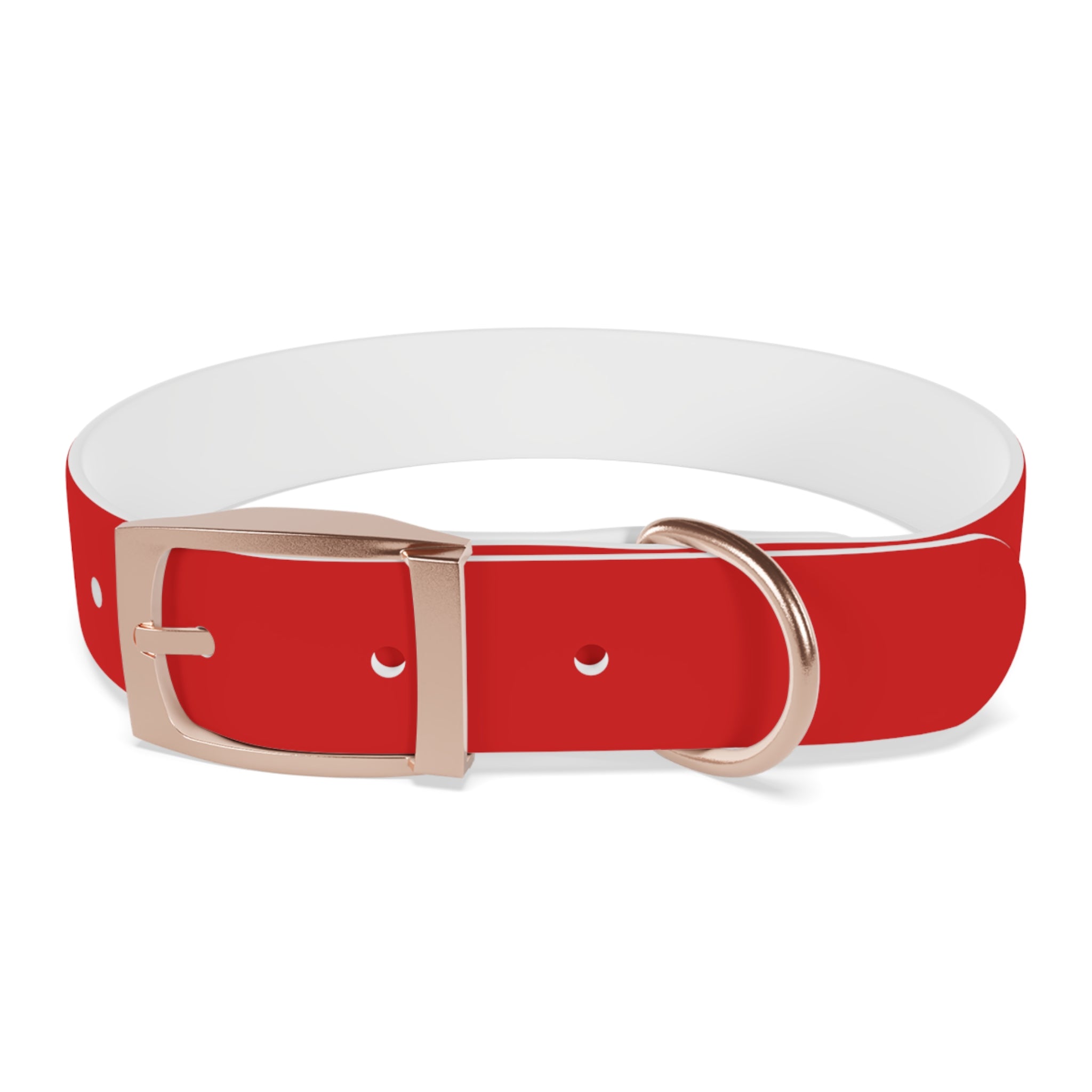 Durable Waterproof Dog Collar | Red