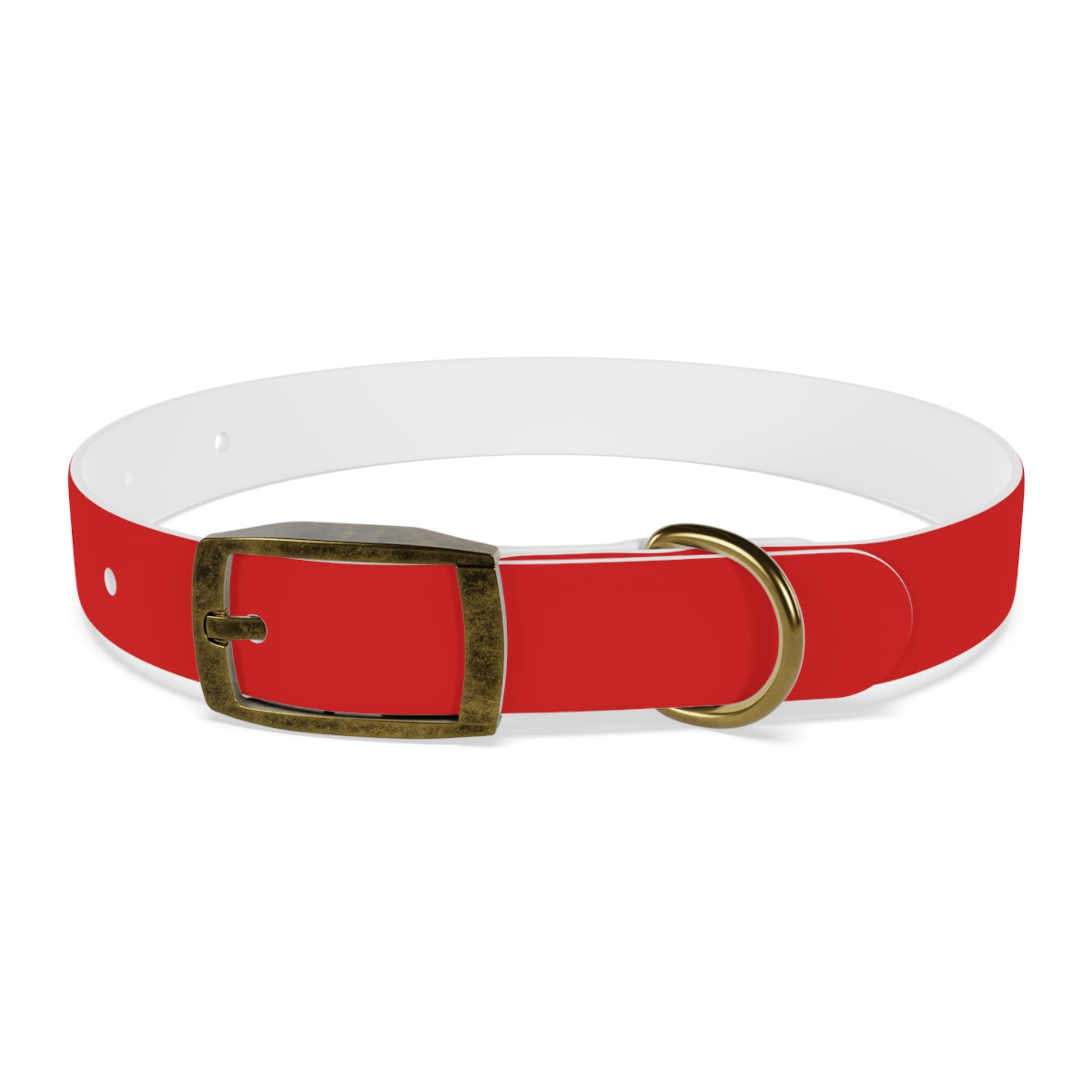 Durable Waterproof Dog Collar | Red