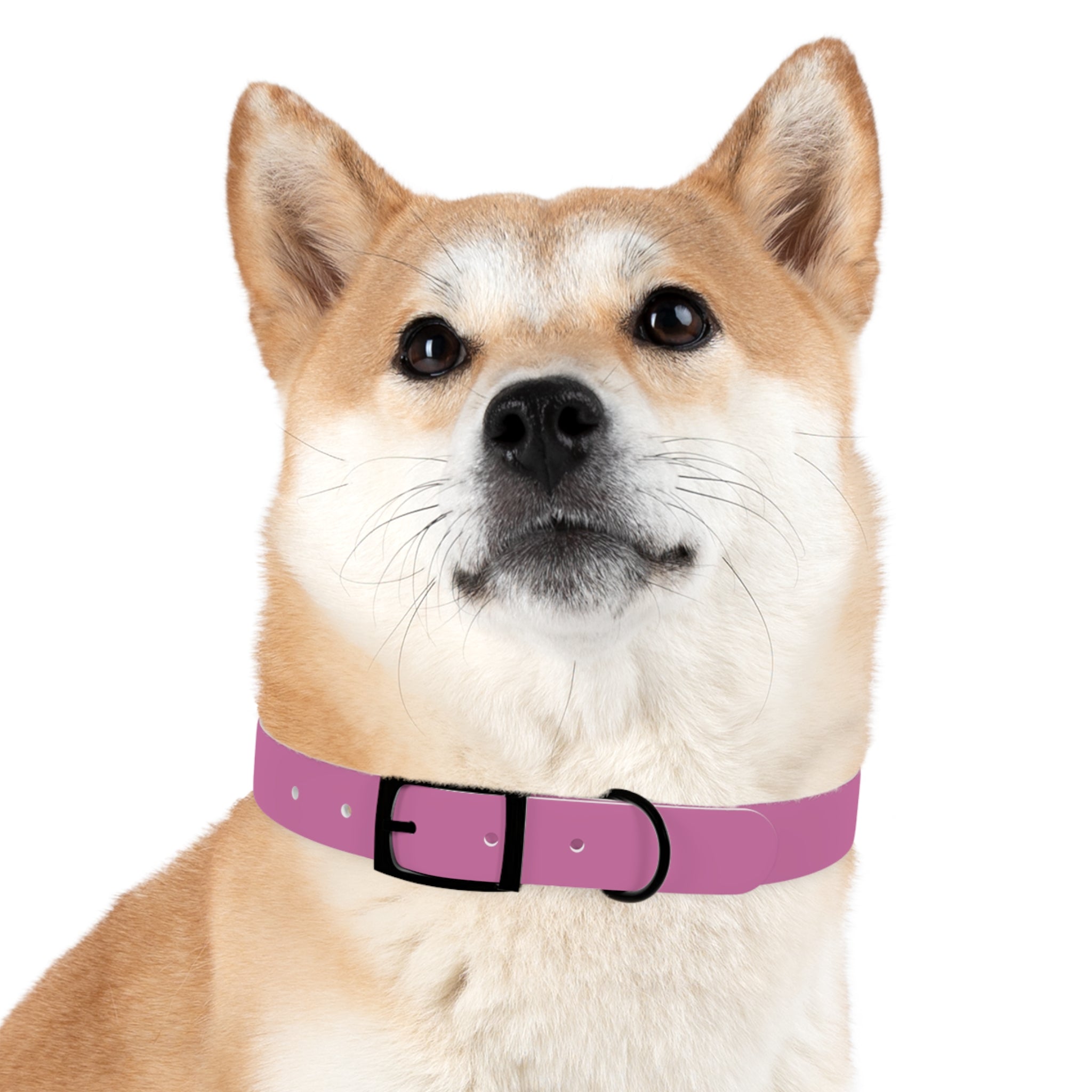 Durable Waterproof Dog Collar | Pink