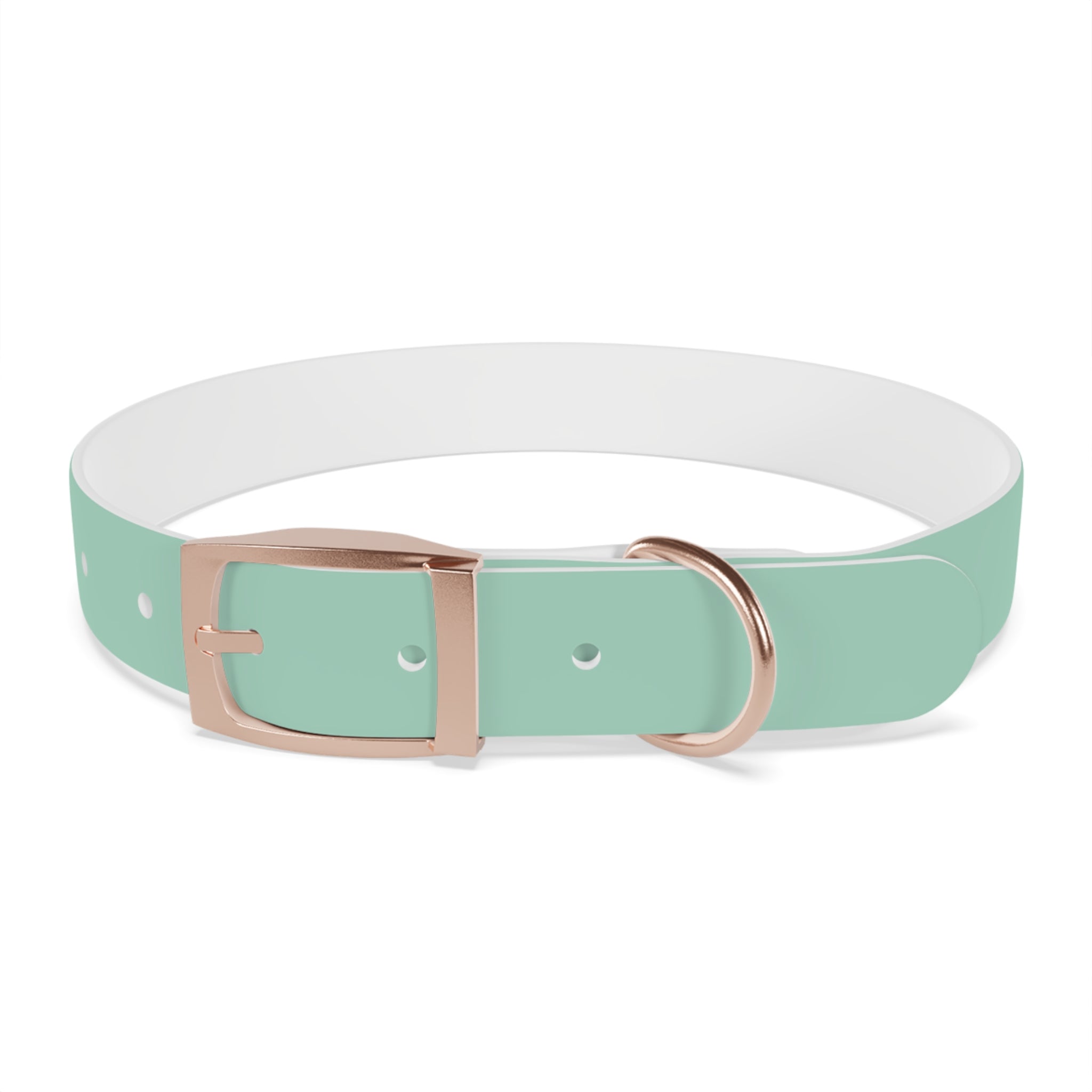 Durable Waterproof Dog Collar | Mint
