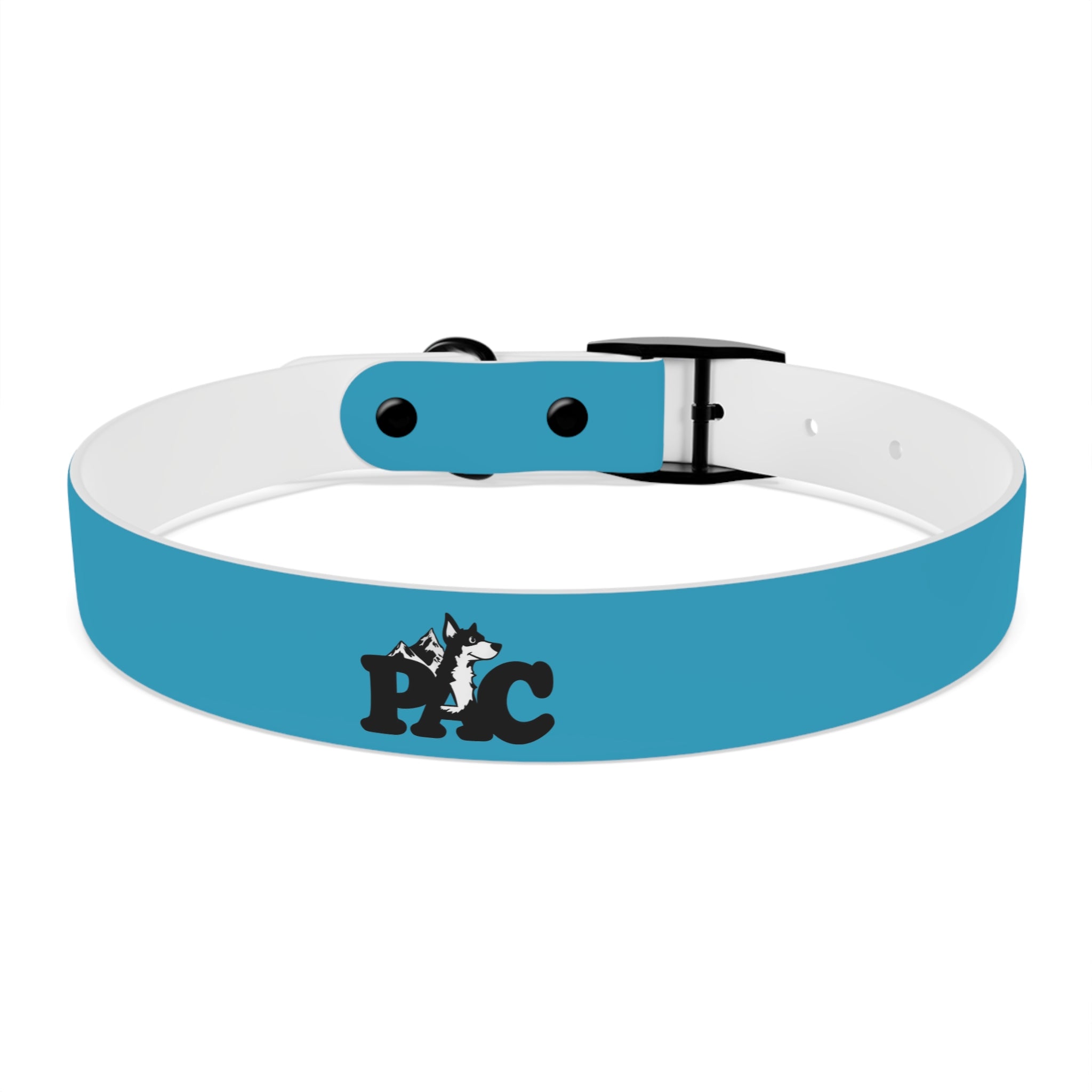 Durable Waterproof Dog Collar | Turquoise
