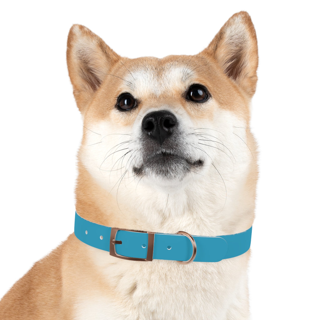 Durable Waterproof Dog Collar | Turquoise
