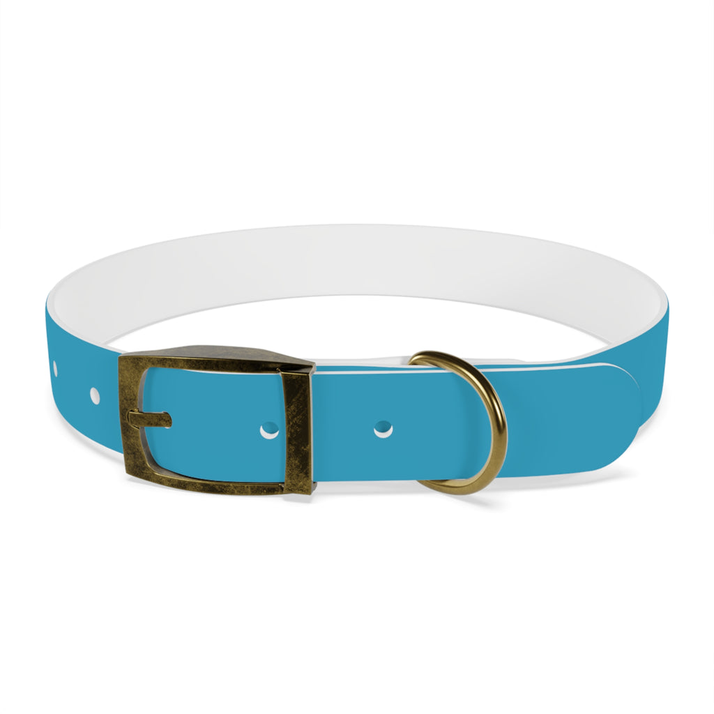 Durable Waterproof Dog Collar | Turquoise