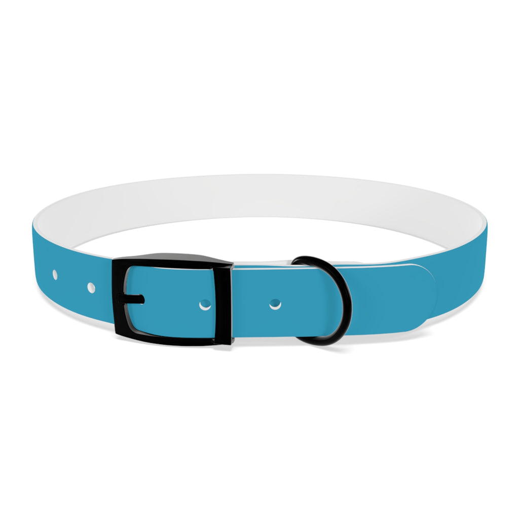 Durable Waterproof Dog Collar | Turquoise