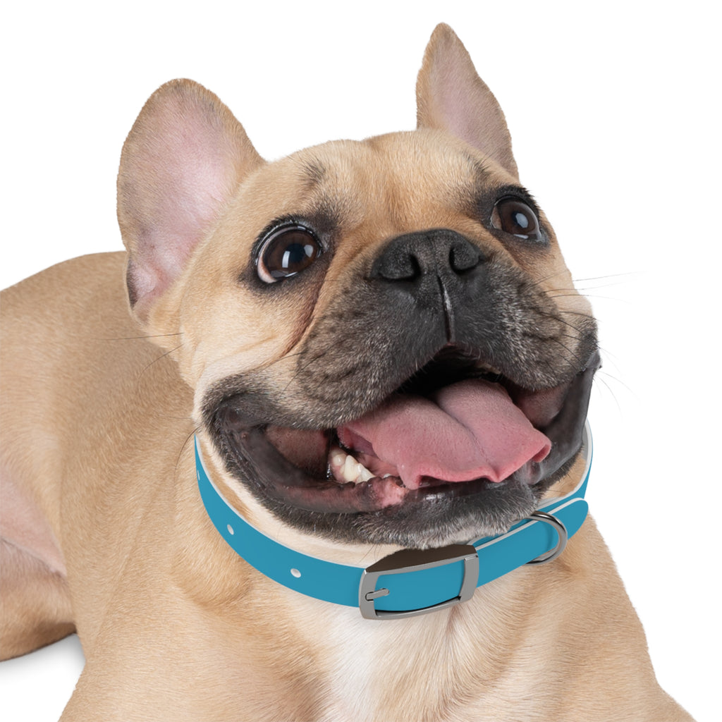 Durable Waterproof Dog Collar | Turquoise
