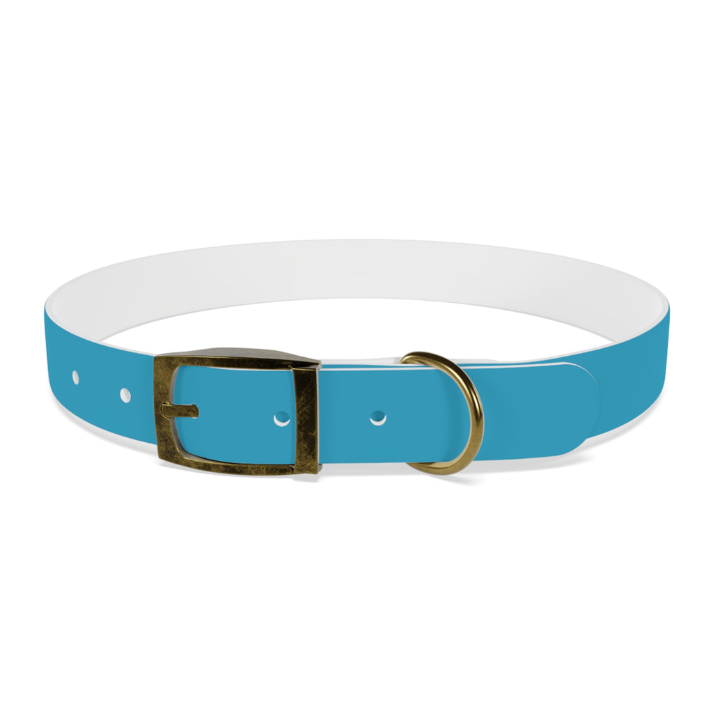 Durable Waterproof Dog Collar | Turquoise