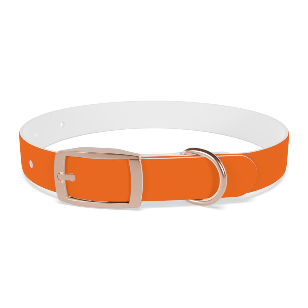 Durable Waterproof Dog Collar | Orange