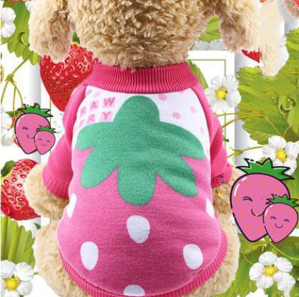 Winter dog clothes