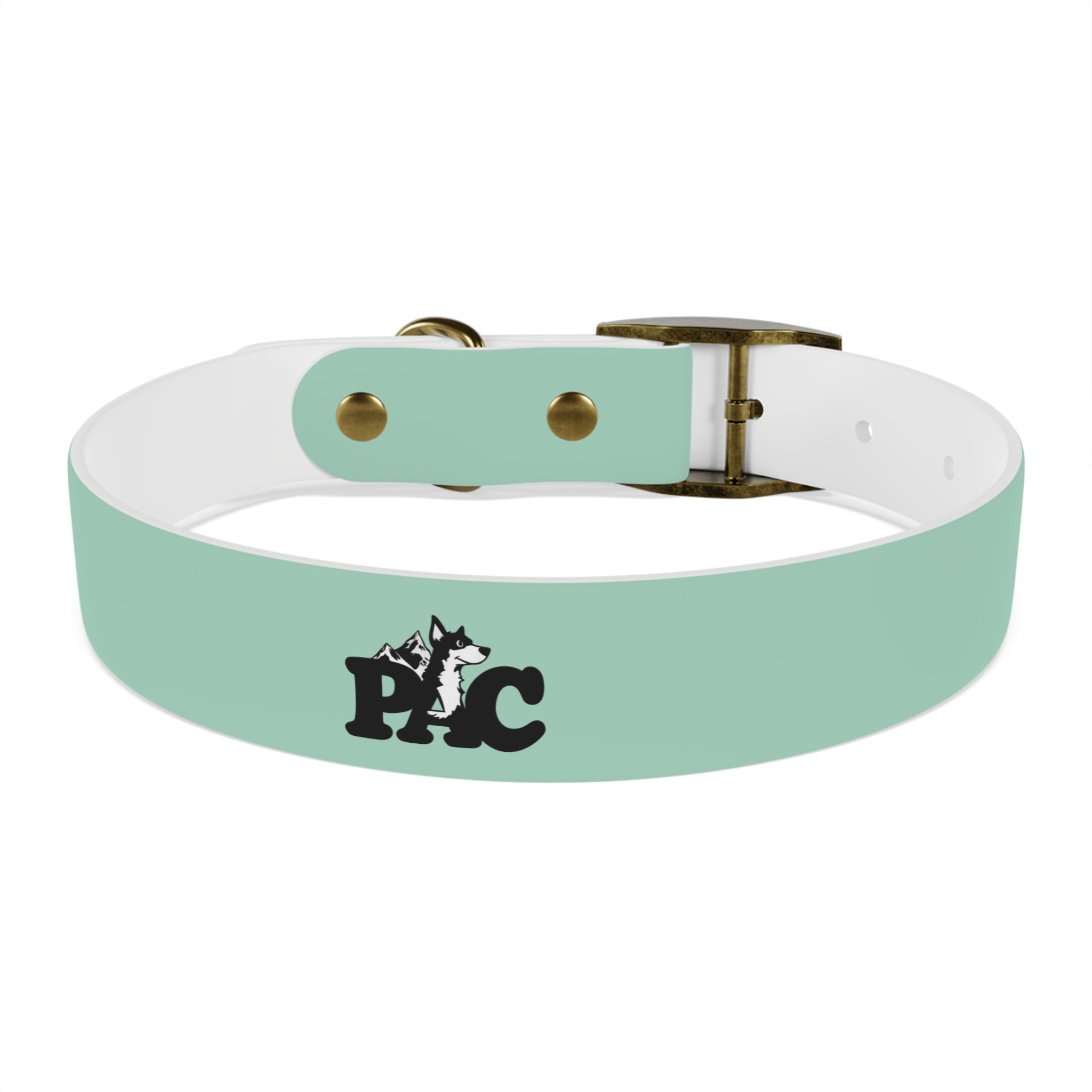 Durable Waterproof Dog Collar | Mint