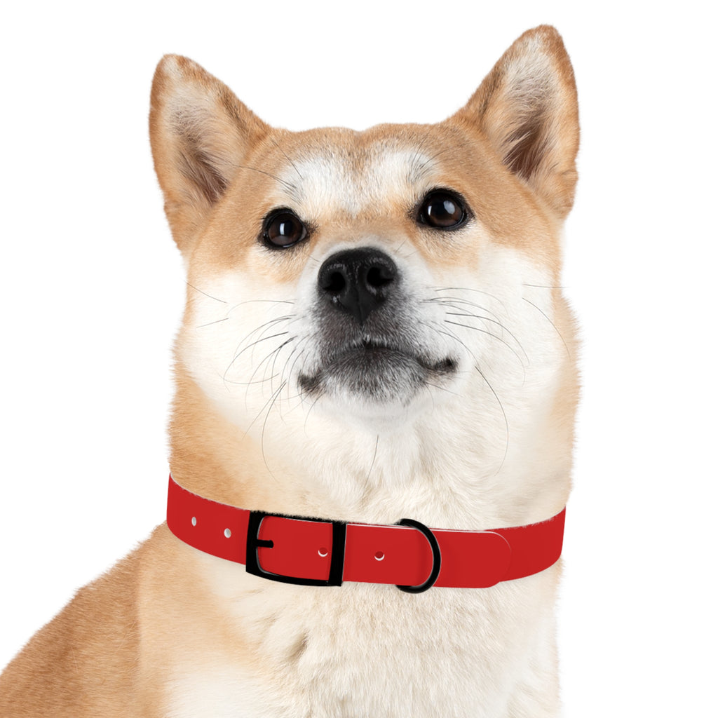Durable Waterproof Dog Collar | Red