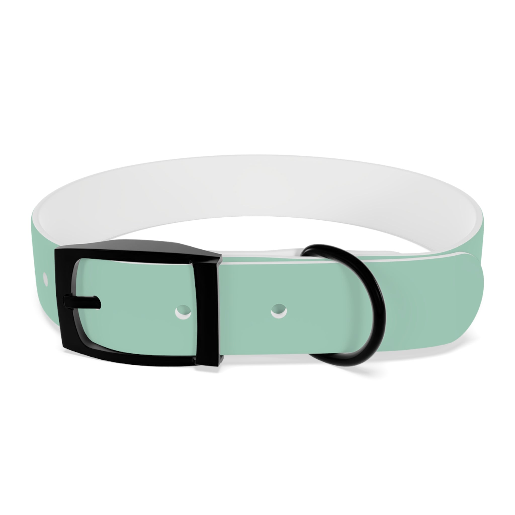 Durable Waterproof Dog Collar | Mint