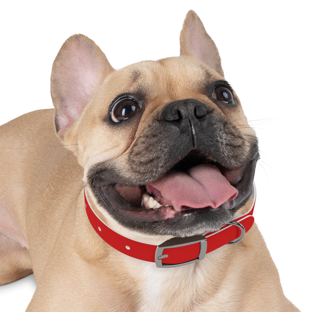Durable Waterproof Dog Collar | Red