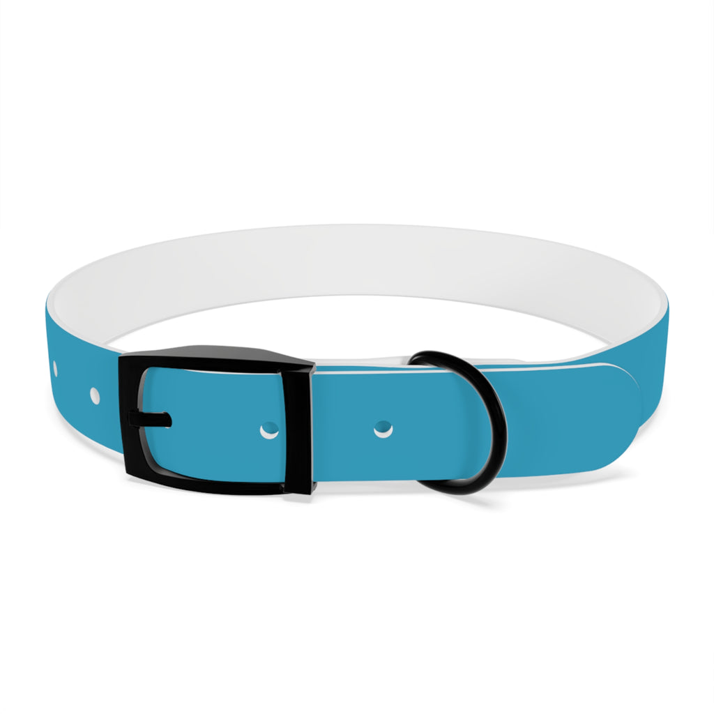 Durable Waterproof Dog Collar | Turquoise