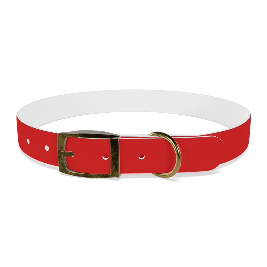 Durable Waterproof Dog Collar | Red