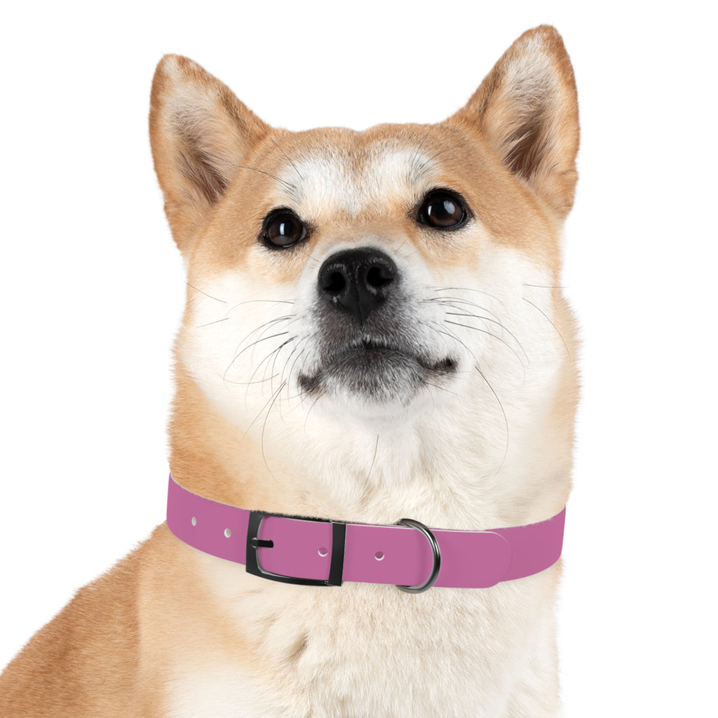 Durable Waterproof Dog Collar | Pink