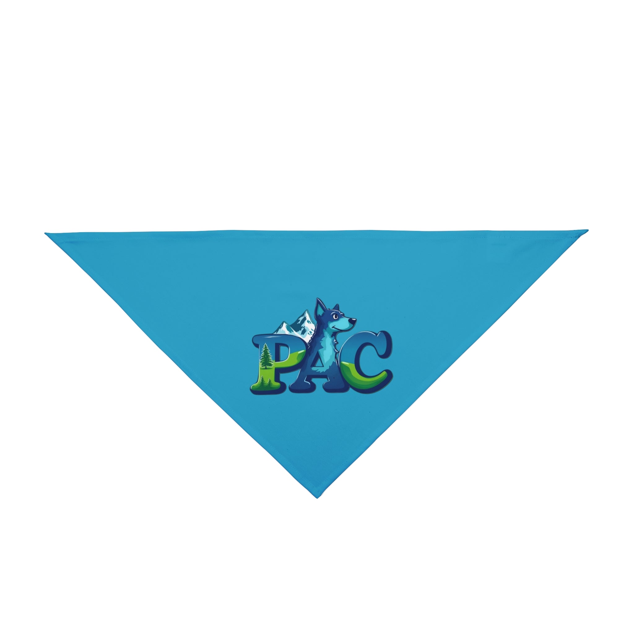 Puppy Adventure Center | Dog Bandana | Turquoise