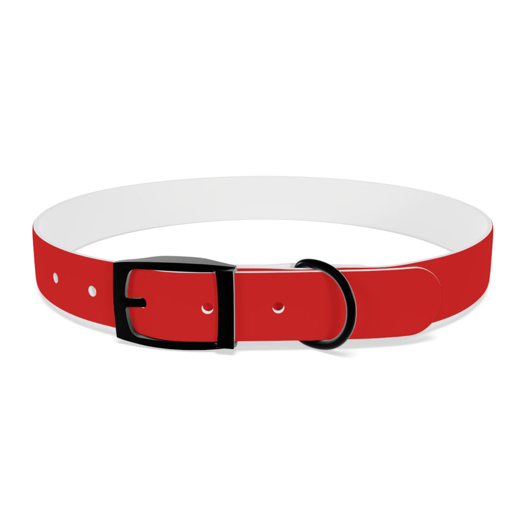 Durable Waterproof Dog Collar | Red