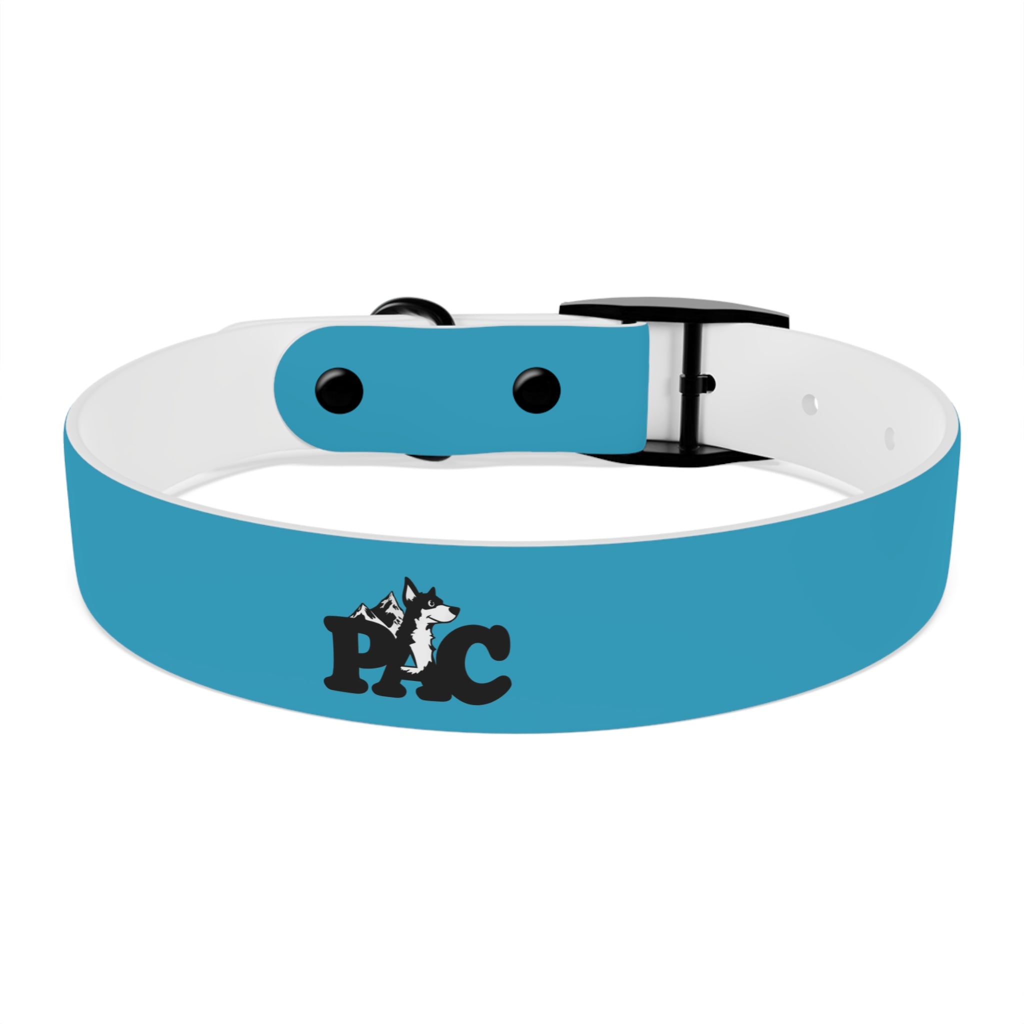 Durable Waterproof Dog Collar | Turquoise