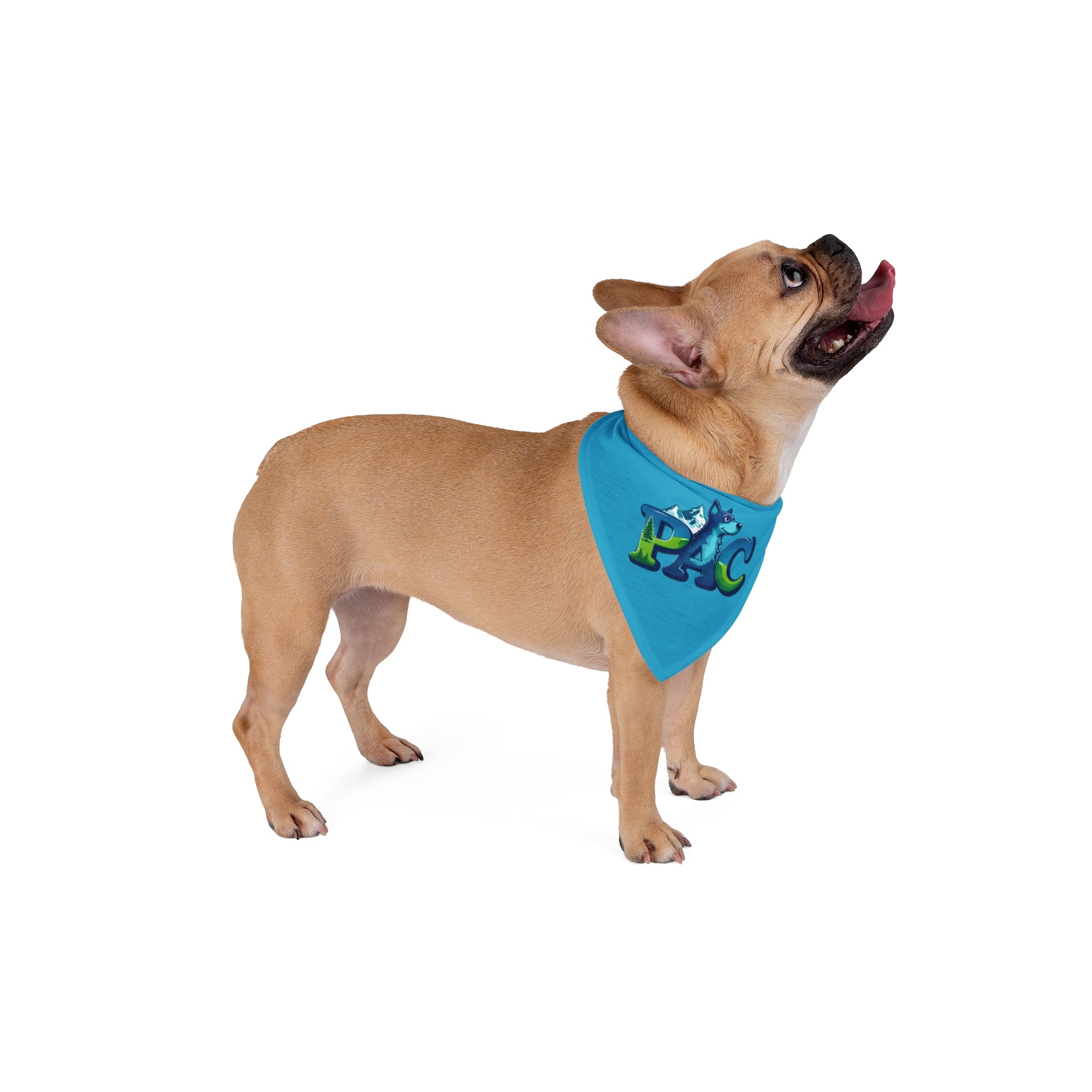 Puppy Adventure Center | Dog Bandana | Turquoise