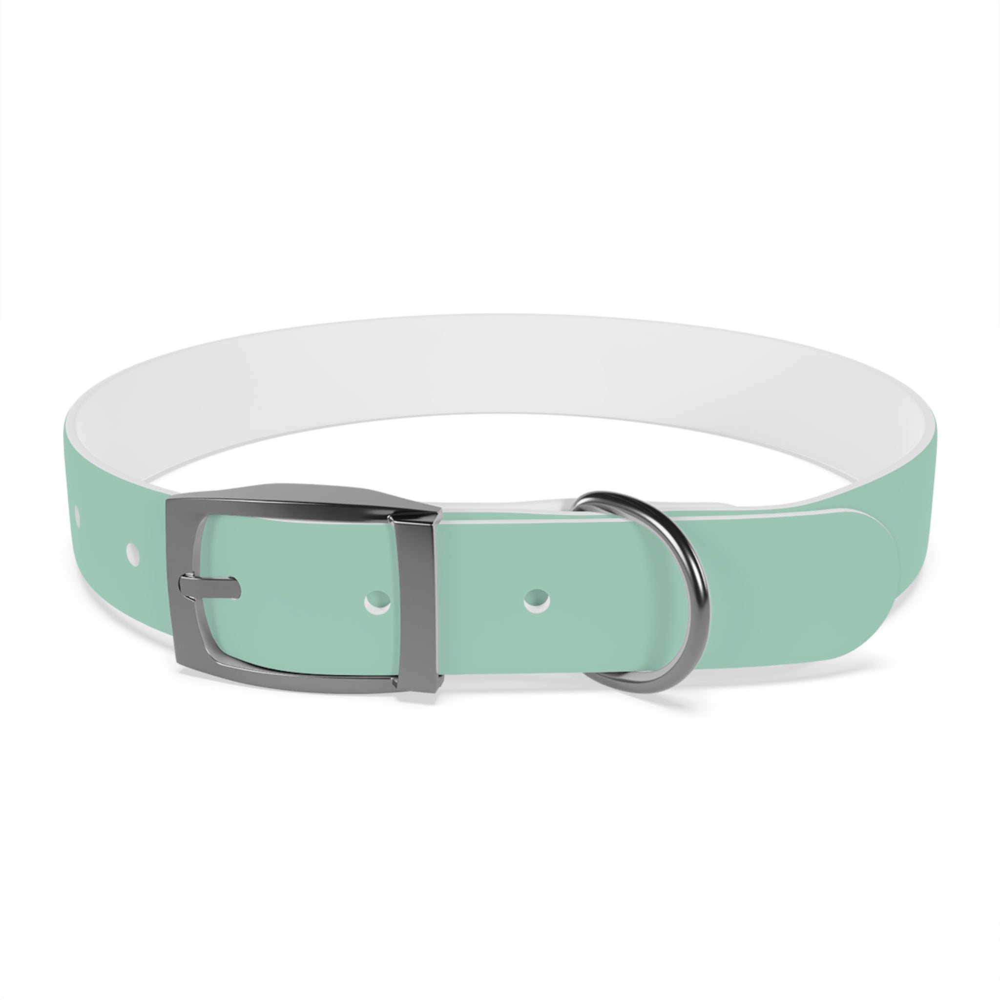 Durable Waterproof Dog Collar | Mint