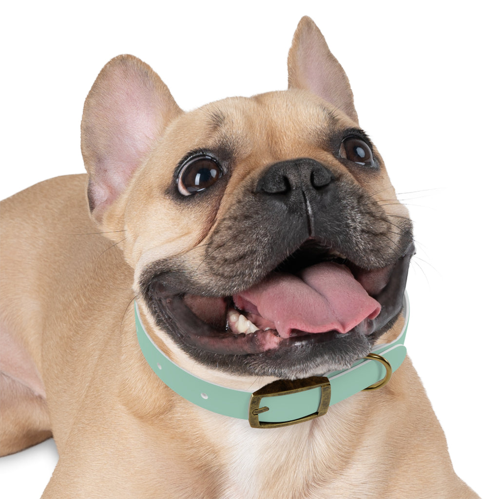 Durable Waterproof Dog Collar | Mint