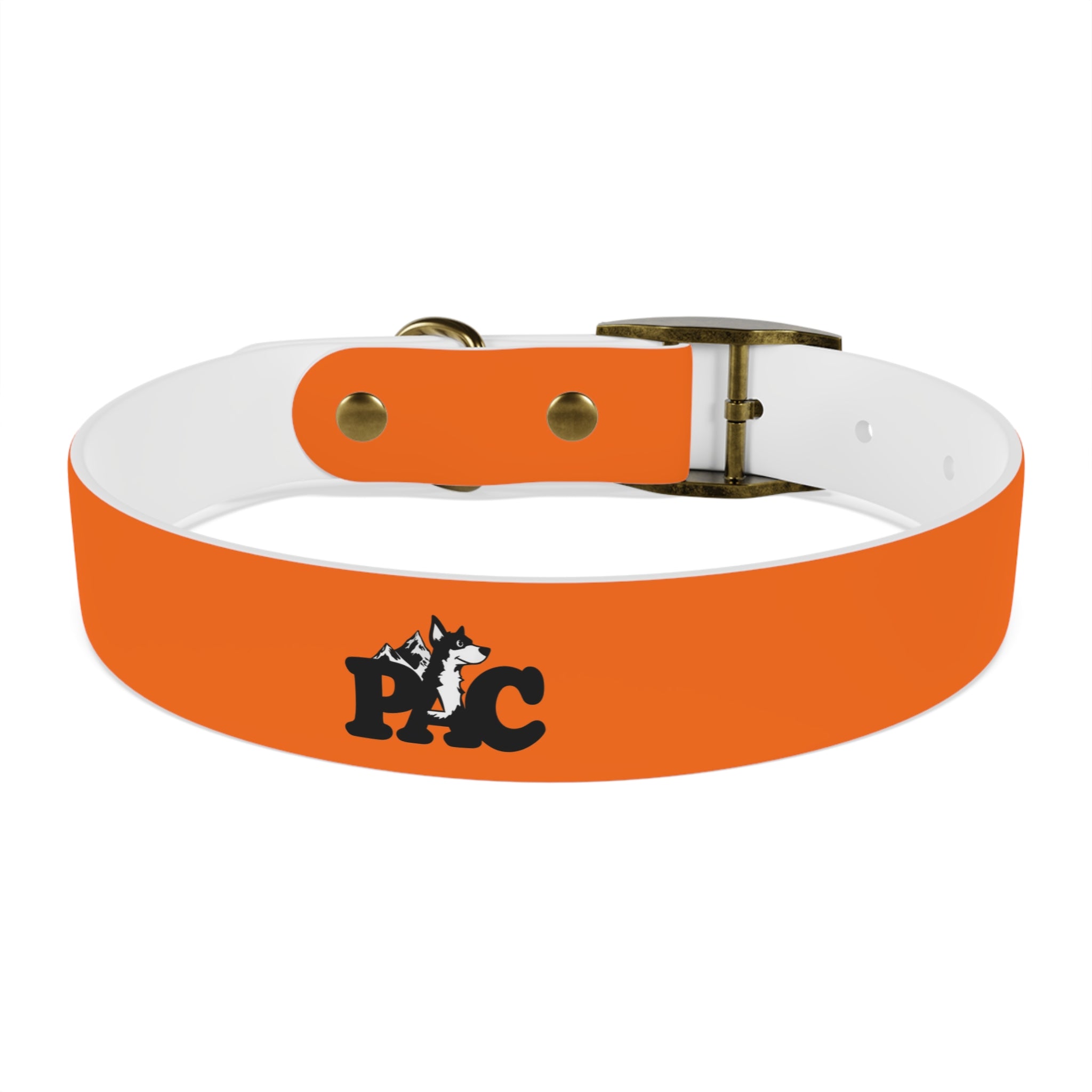 Durable Waterproof Dog Collar | Orange