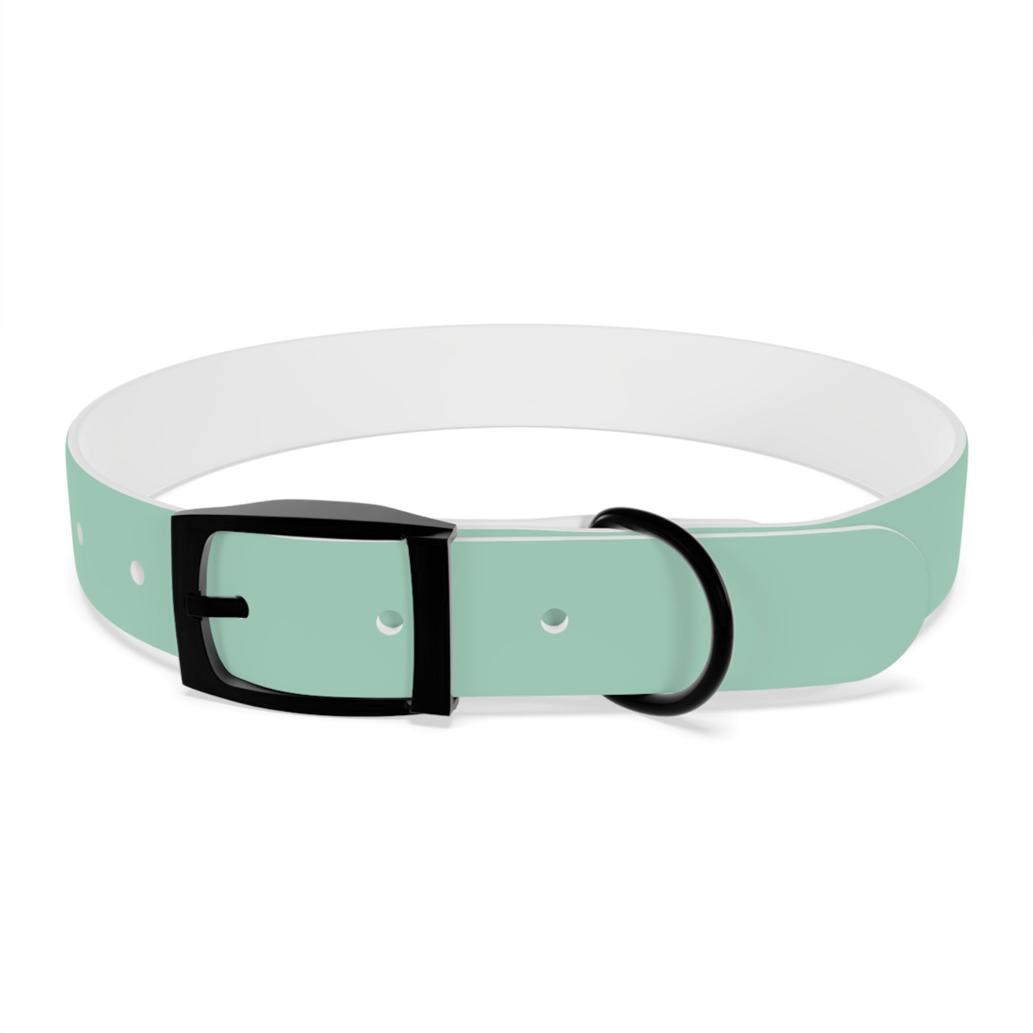 Durable Waterproof Dog Collar | Mint