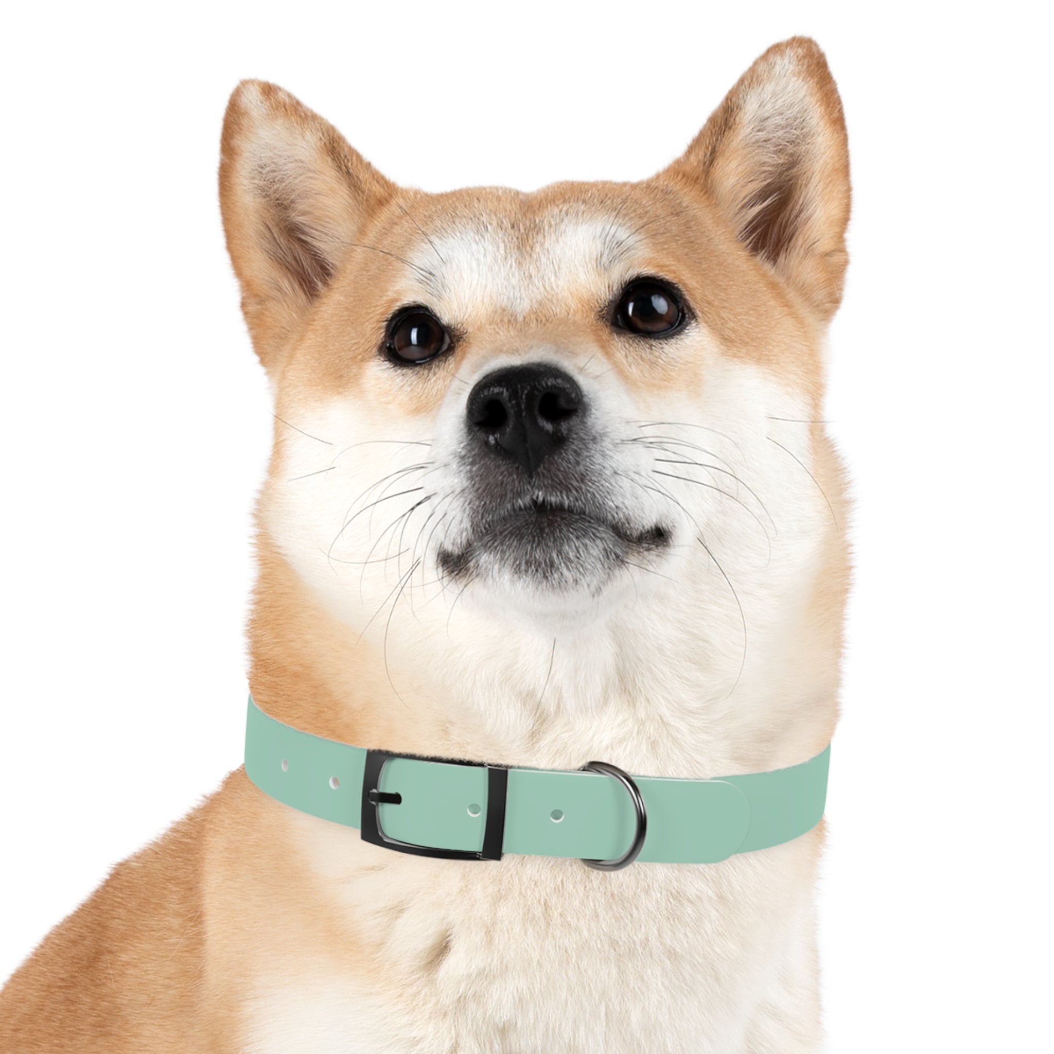 Durable Waterproof Dog Collar | Mint