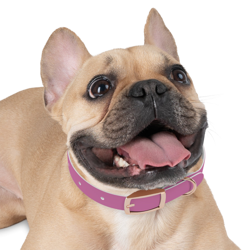 Durable Waterproof Dog Collar | Pink