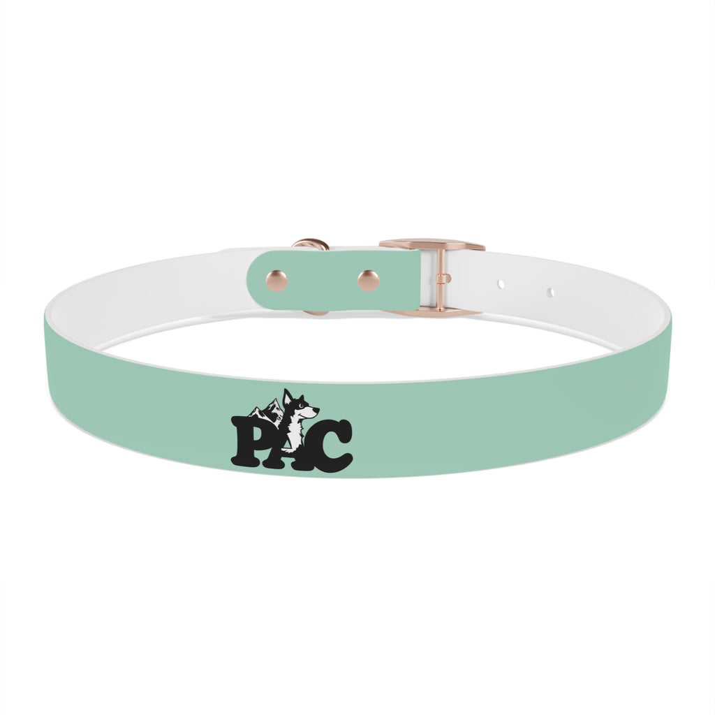 Durable Waterproof Dog Collar | Mint