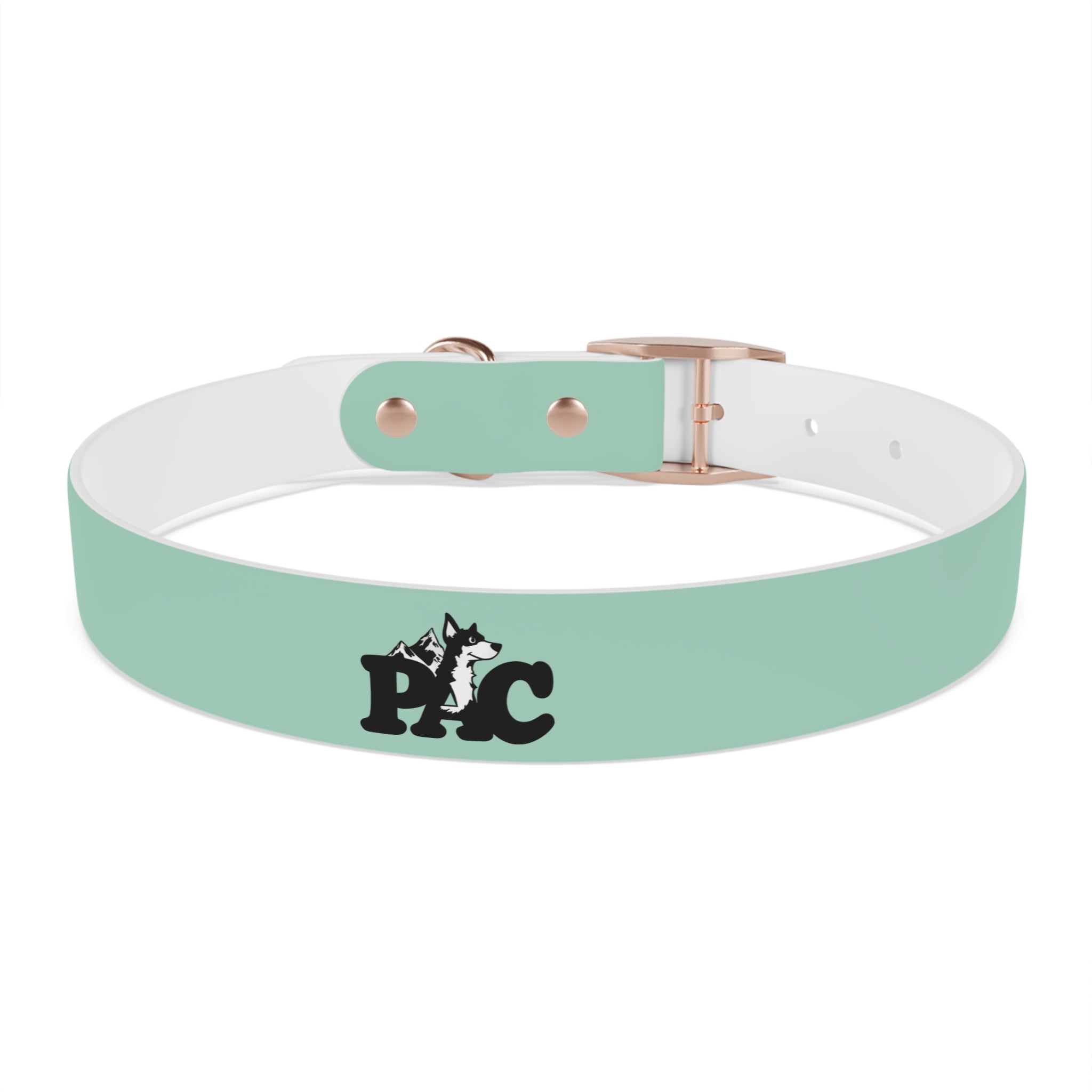 Durable Waterproof Dog Collar | Mint