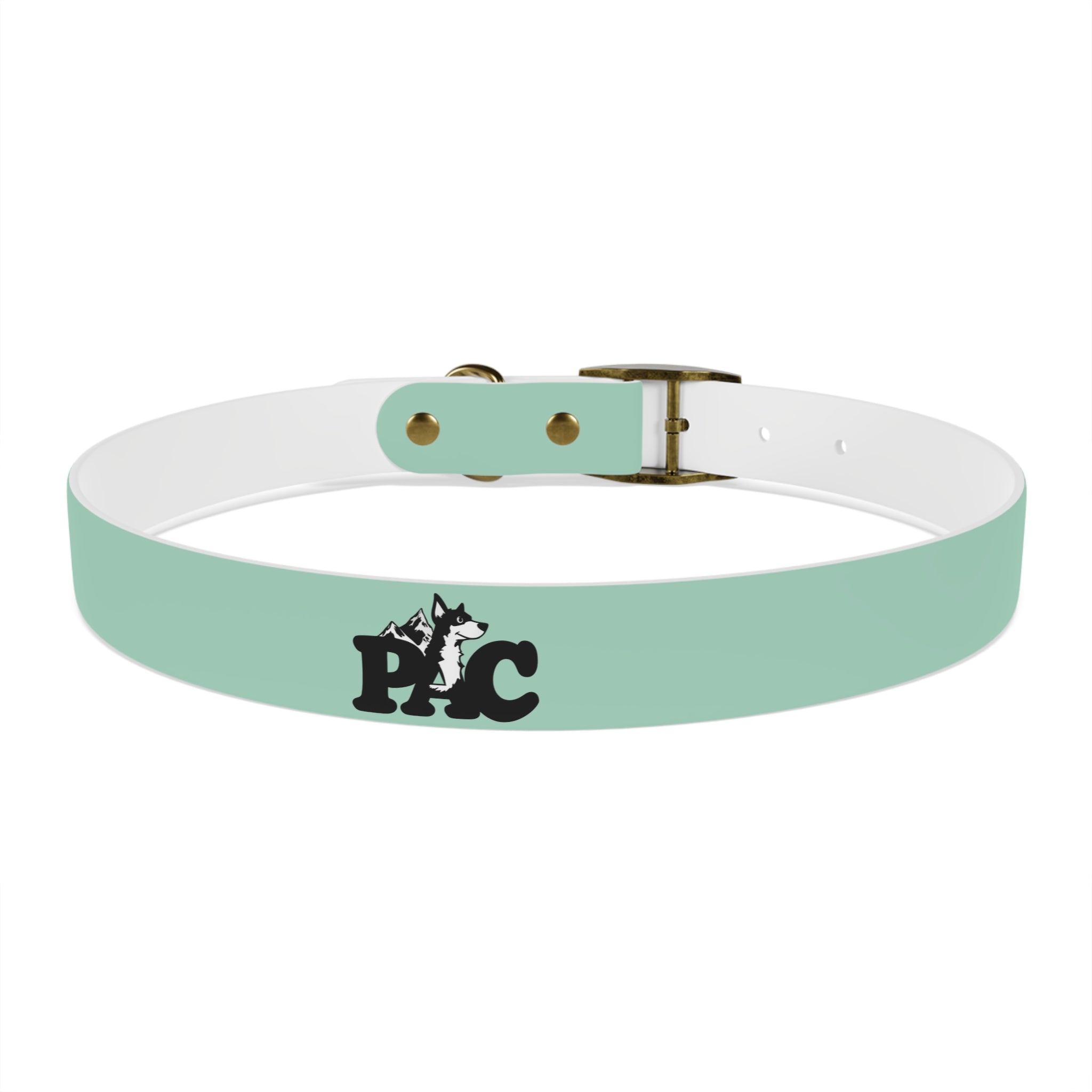 Durable Waterproof Dog Collar | Mint