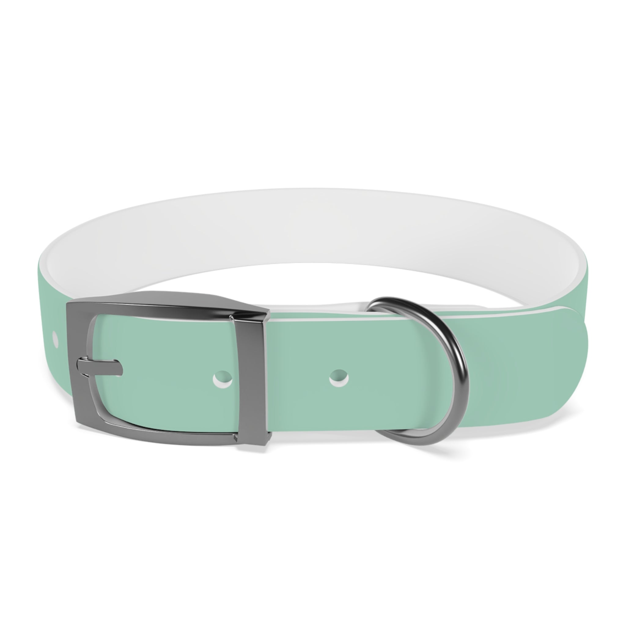 Durable Waterproof Dog Collar | Mint