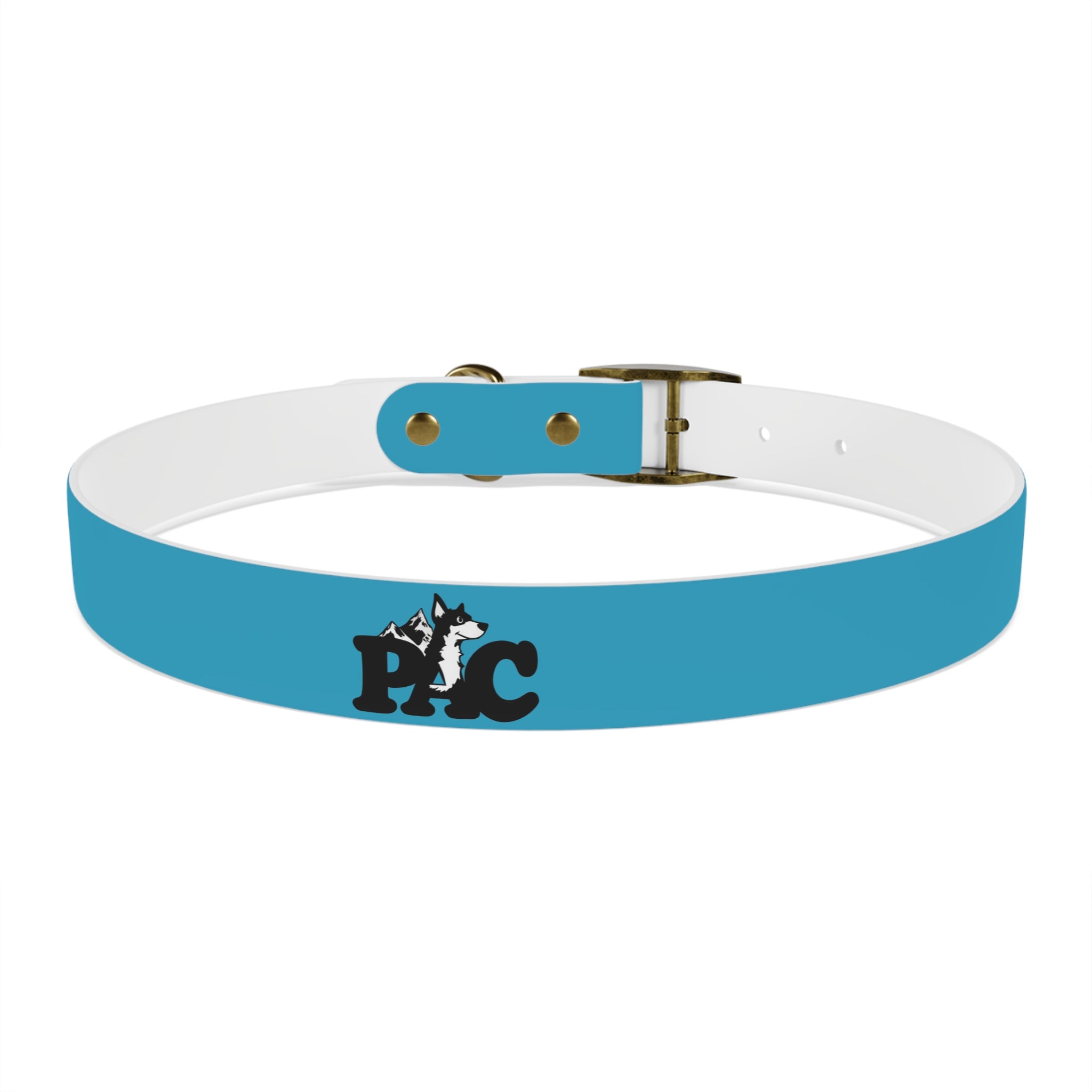 Durable Waterproof Dog Collar | Turquoise