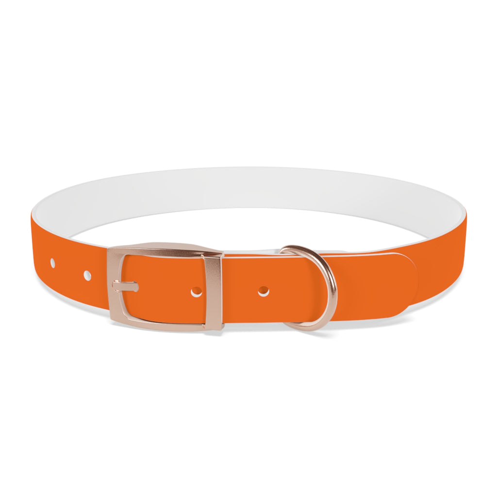 Durable Adjustable Dog Collar | Paw Print | Orange