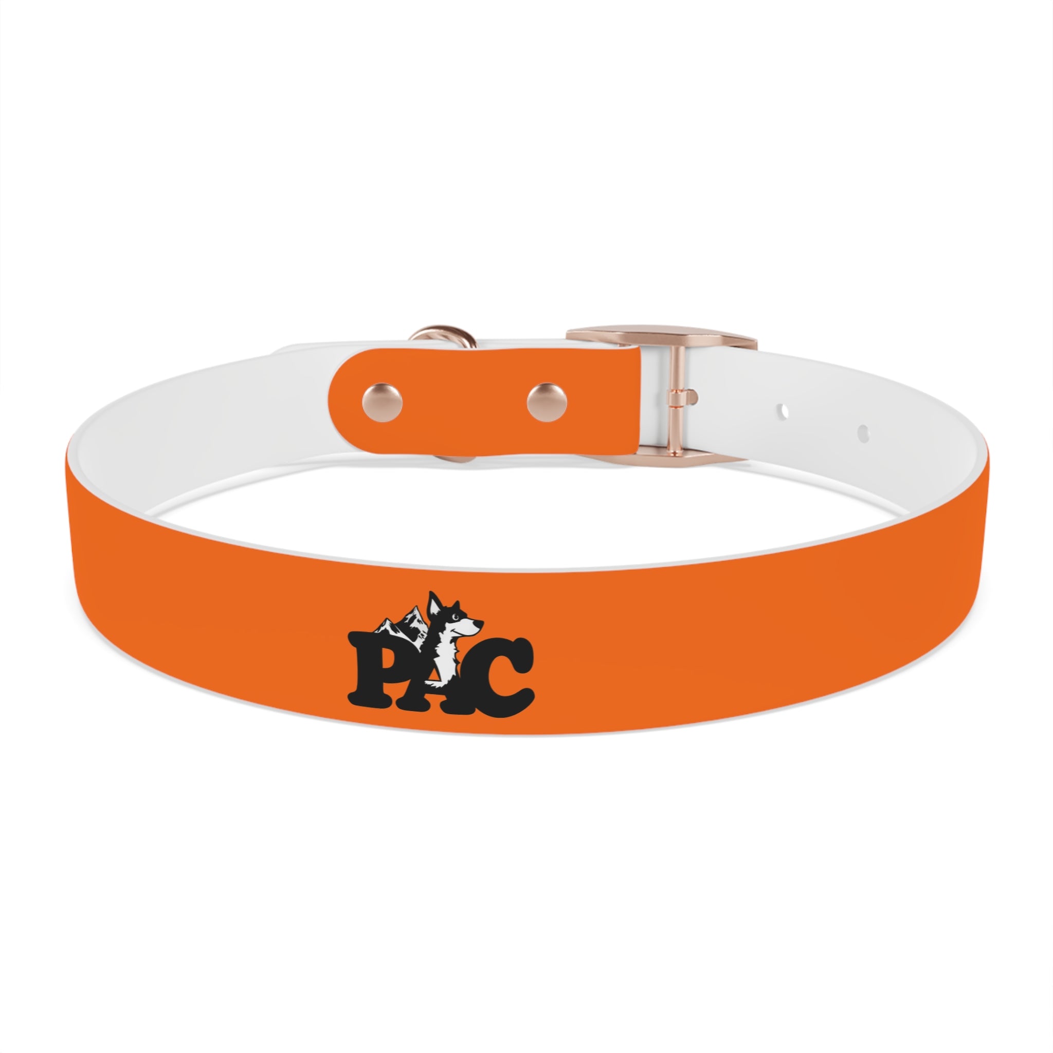Durable Waterproof Dog Collar | Orange
