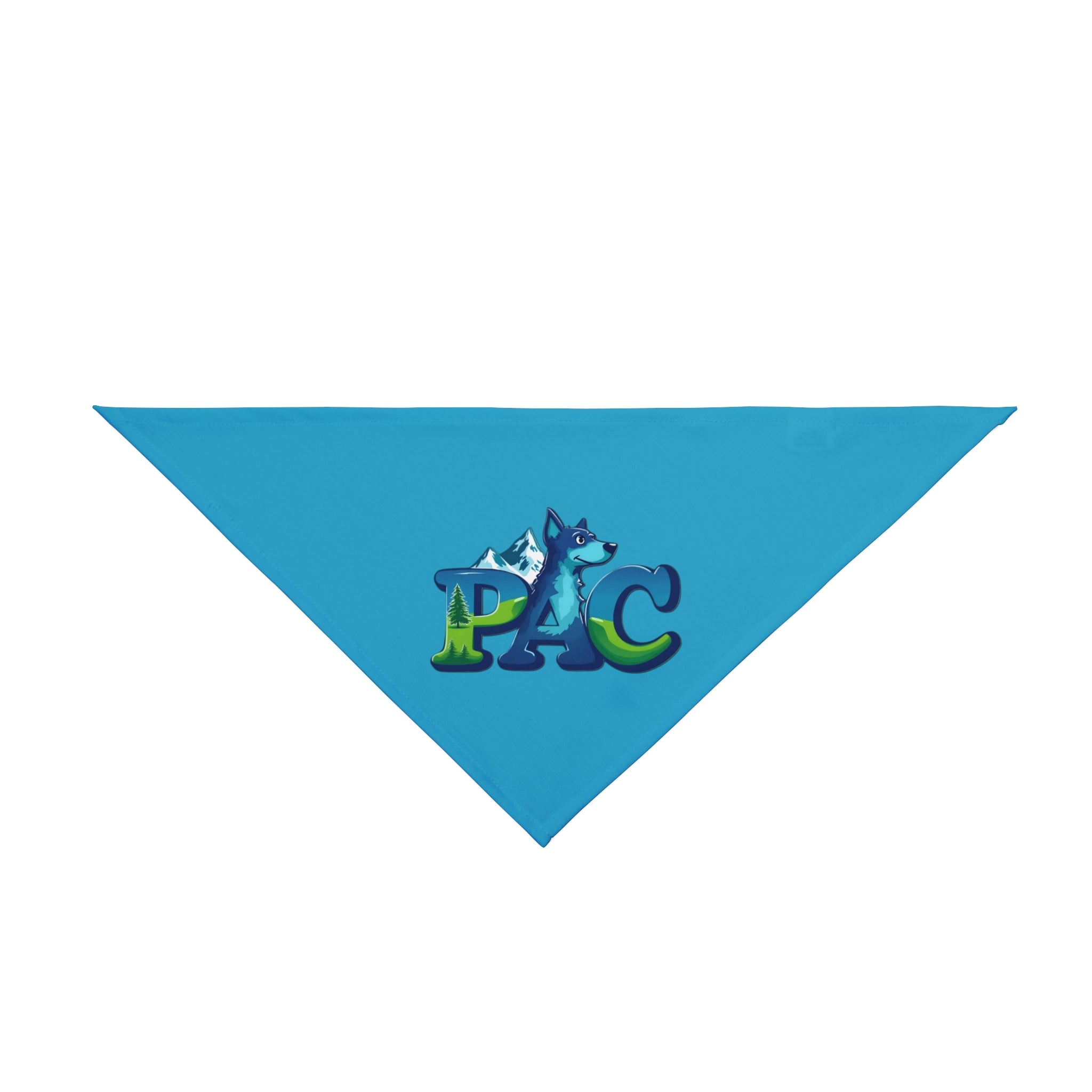 Puppy Adventure Center | Dog Bandana | Turquoise