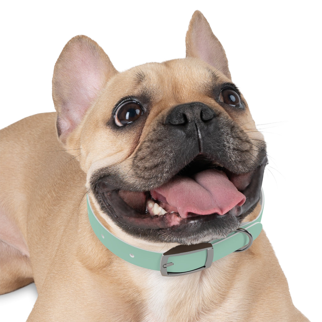Durable Waterproof Dog Collar | Mint