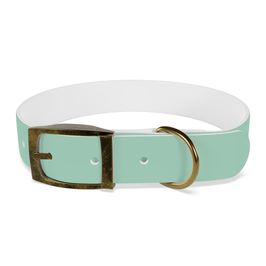 Durable Waterproof Dog Collar | Mint