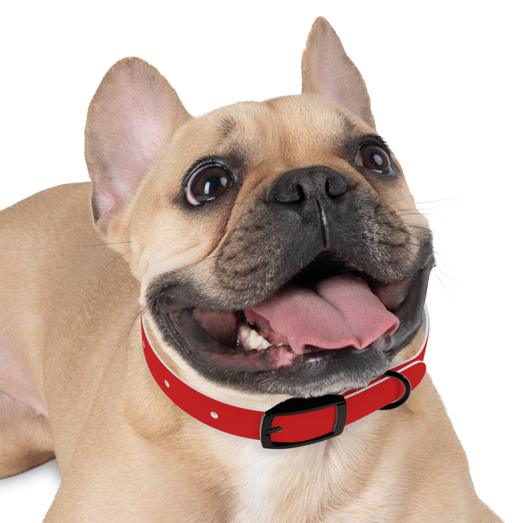 Durable Waterproof Dog Collar | Red