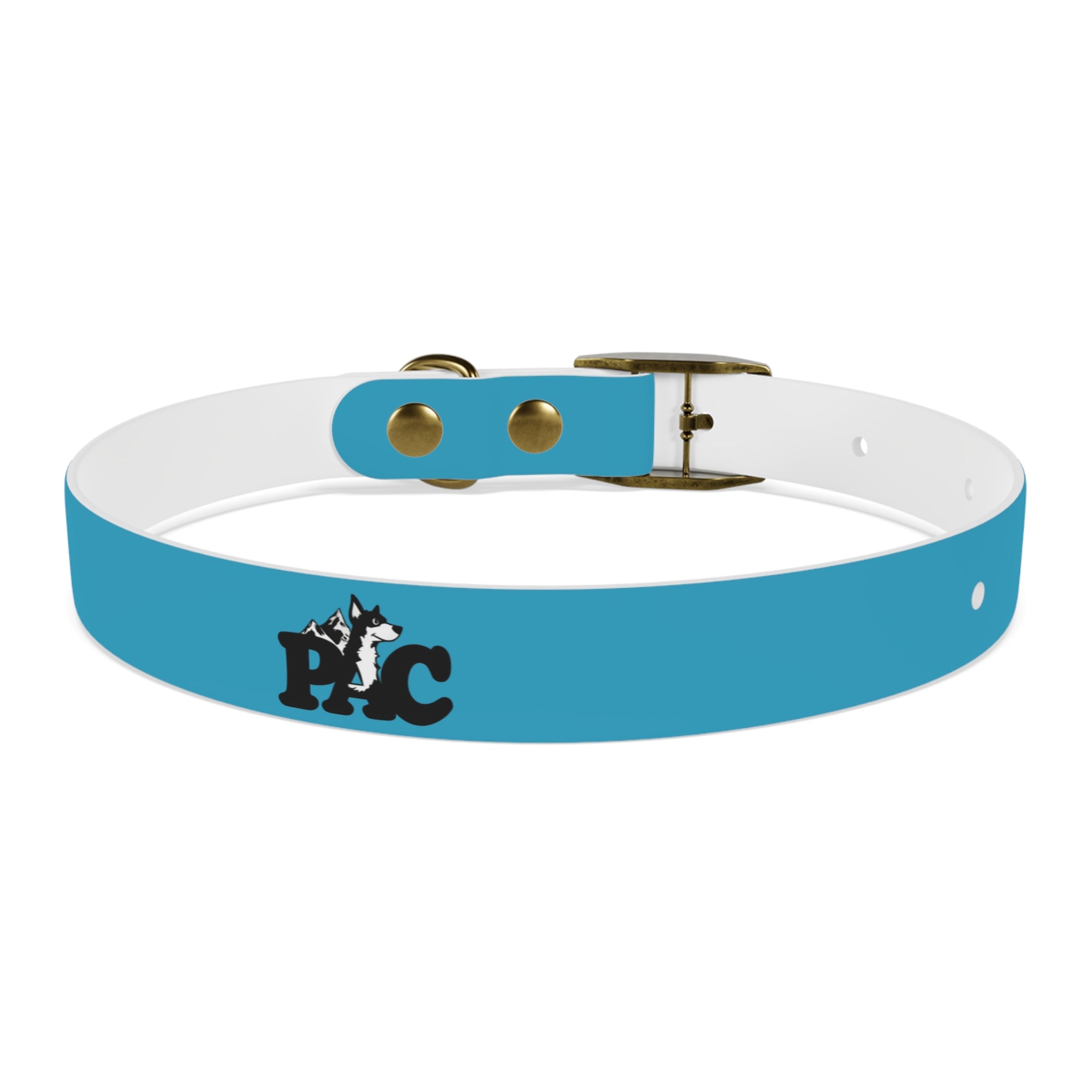 Durable Waterproof Dog Collar | Turquoise