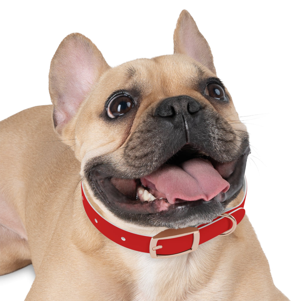 Durable Waterproof Dog Collar | Red