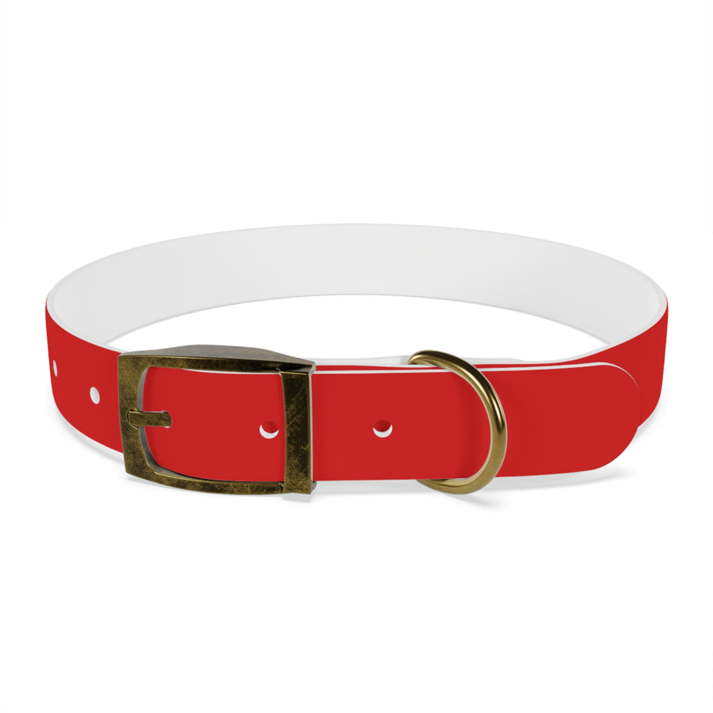 Durable Waterproof Dog Collar | Red