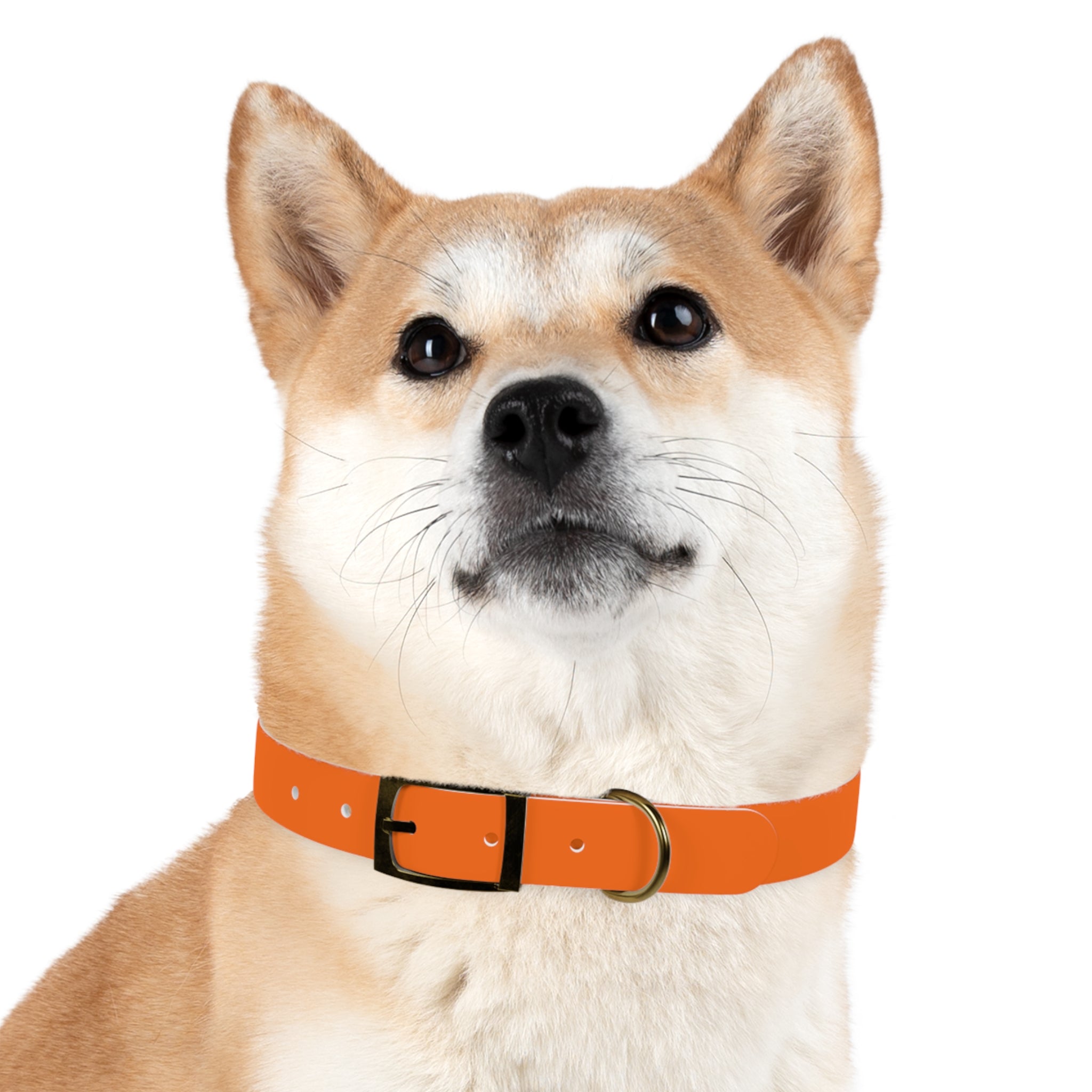 Durable Waterproof Dog Collar | Orange