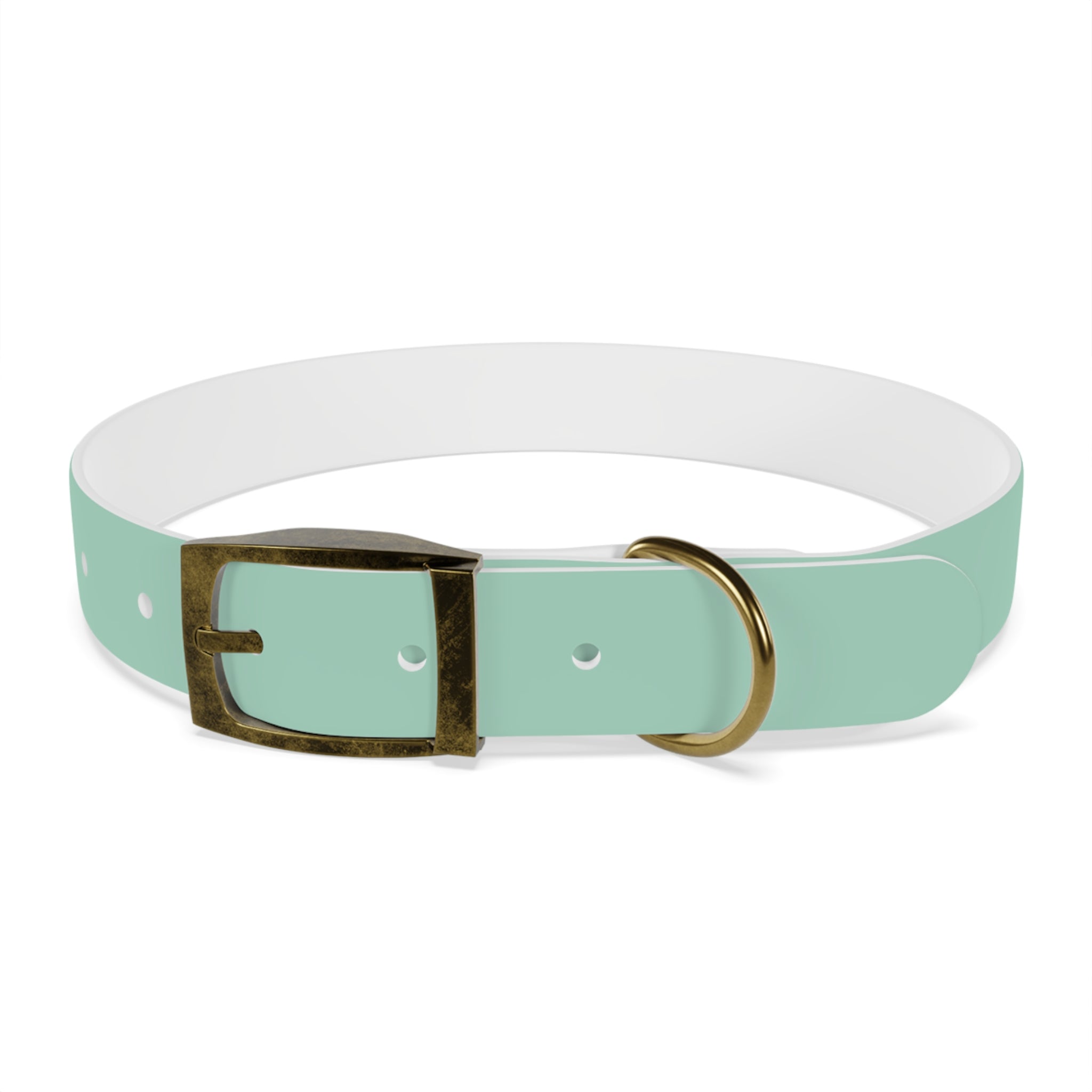 Durable Waterproof Dog Collar | Mint