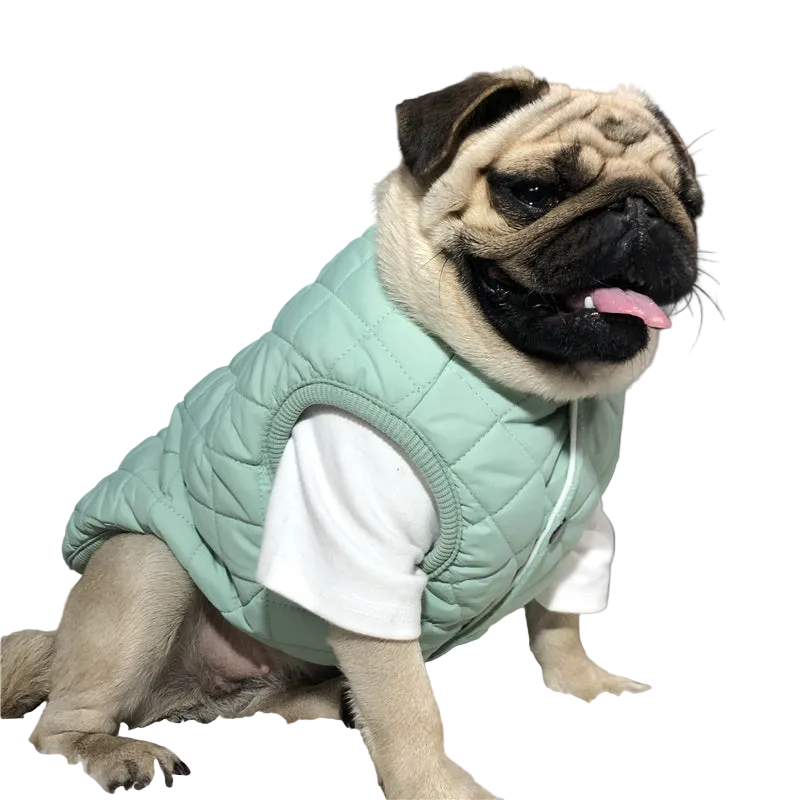 Dog Clothing Warm Vest Cotton Vest