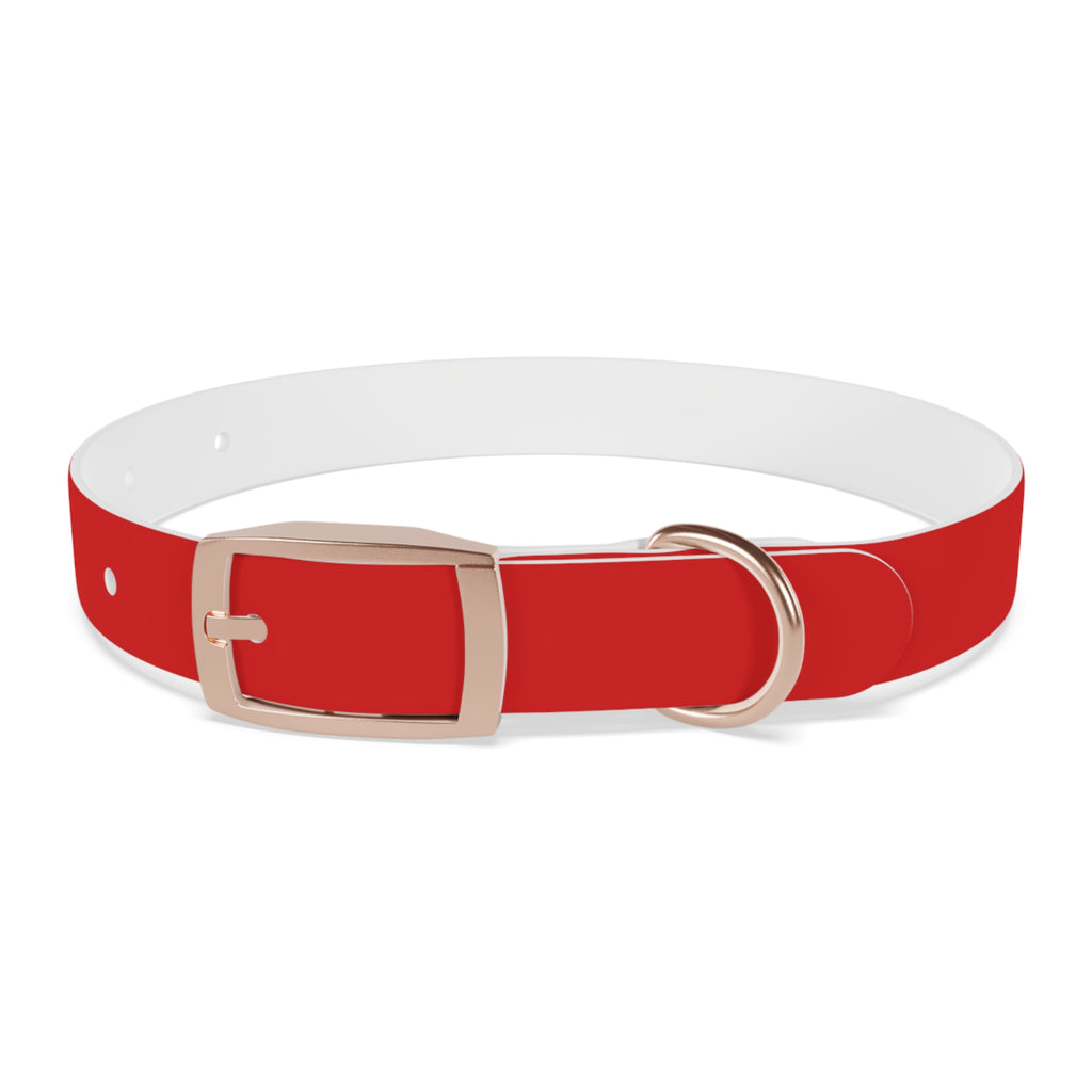 Durable Waterproof Dog Collar | Red
