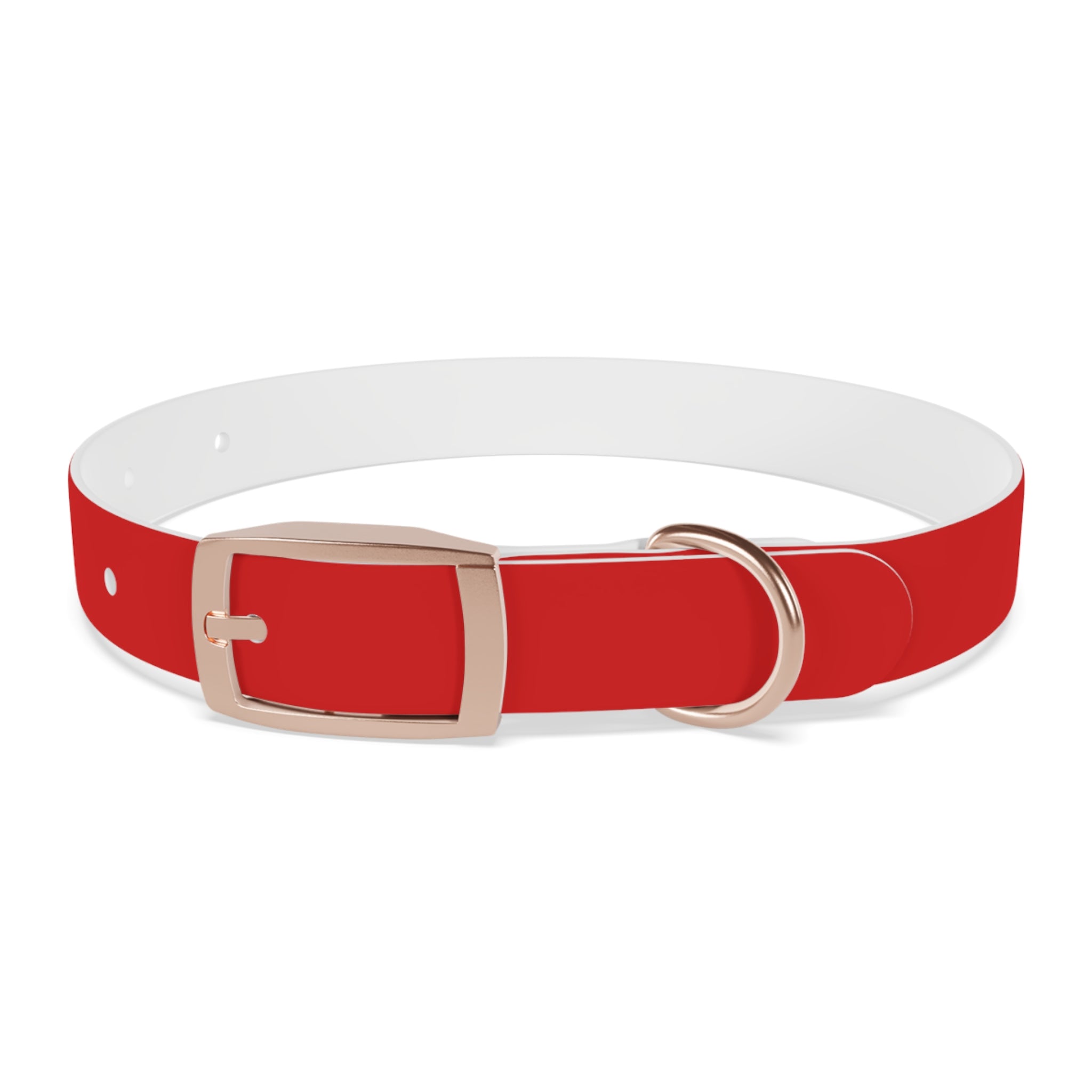 Durable Waterproof Dog Collar | Red