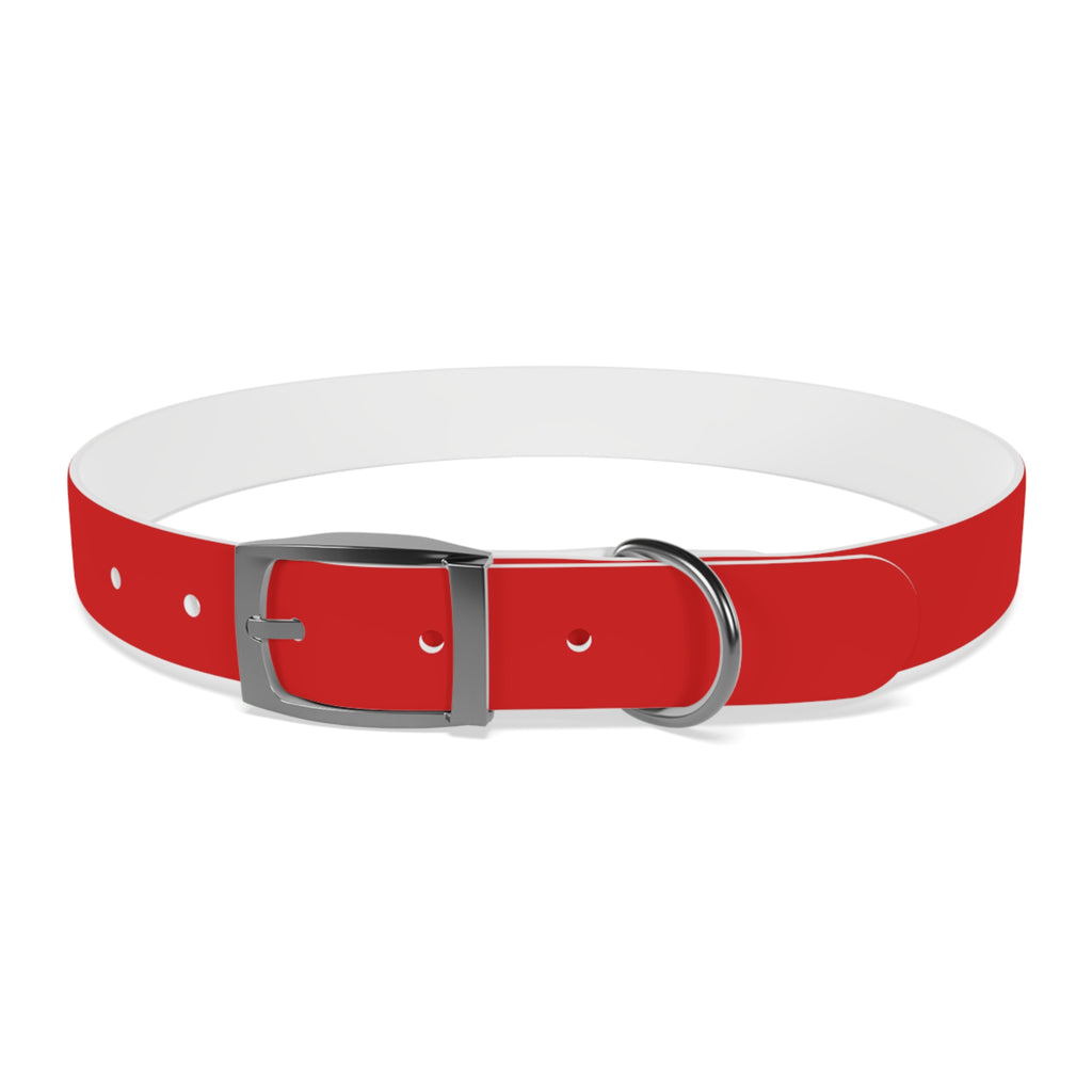 Durable Waterproof Dog Collar | Red